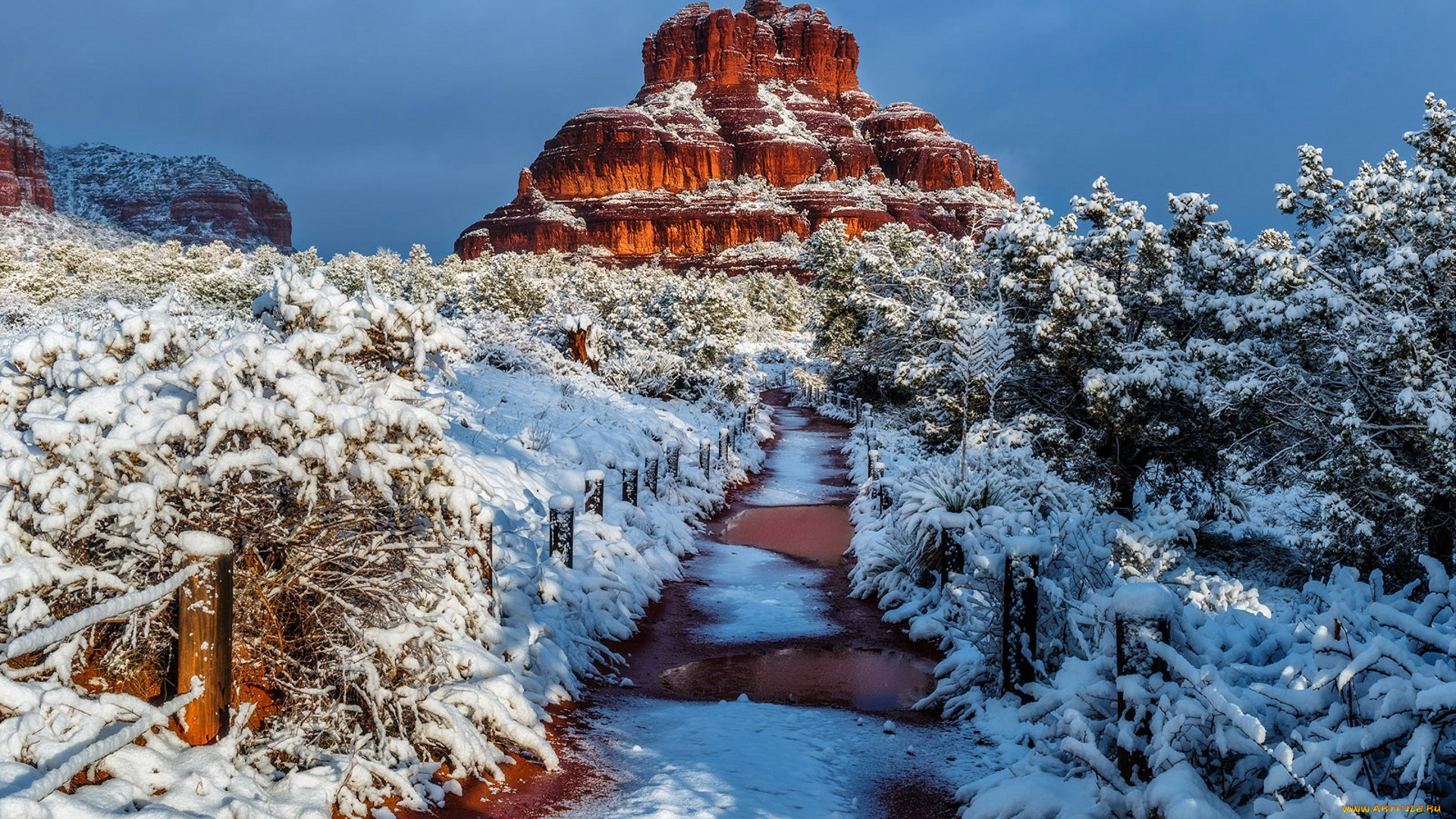 природа, зима, простор