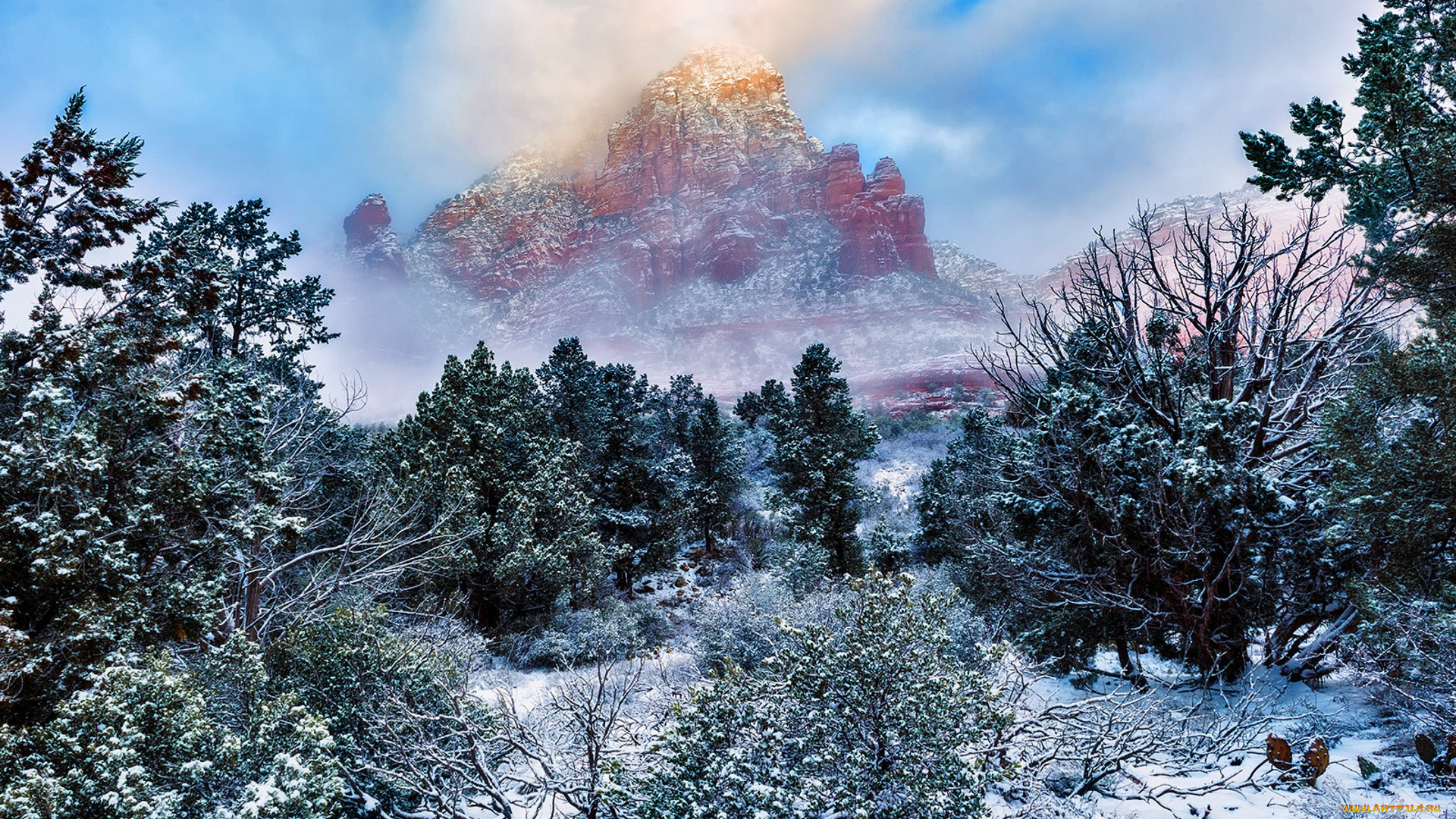 природа, зима, простор