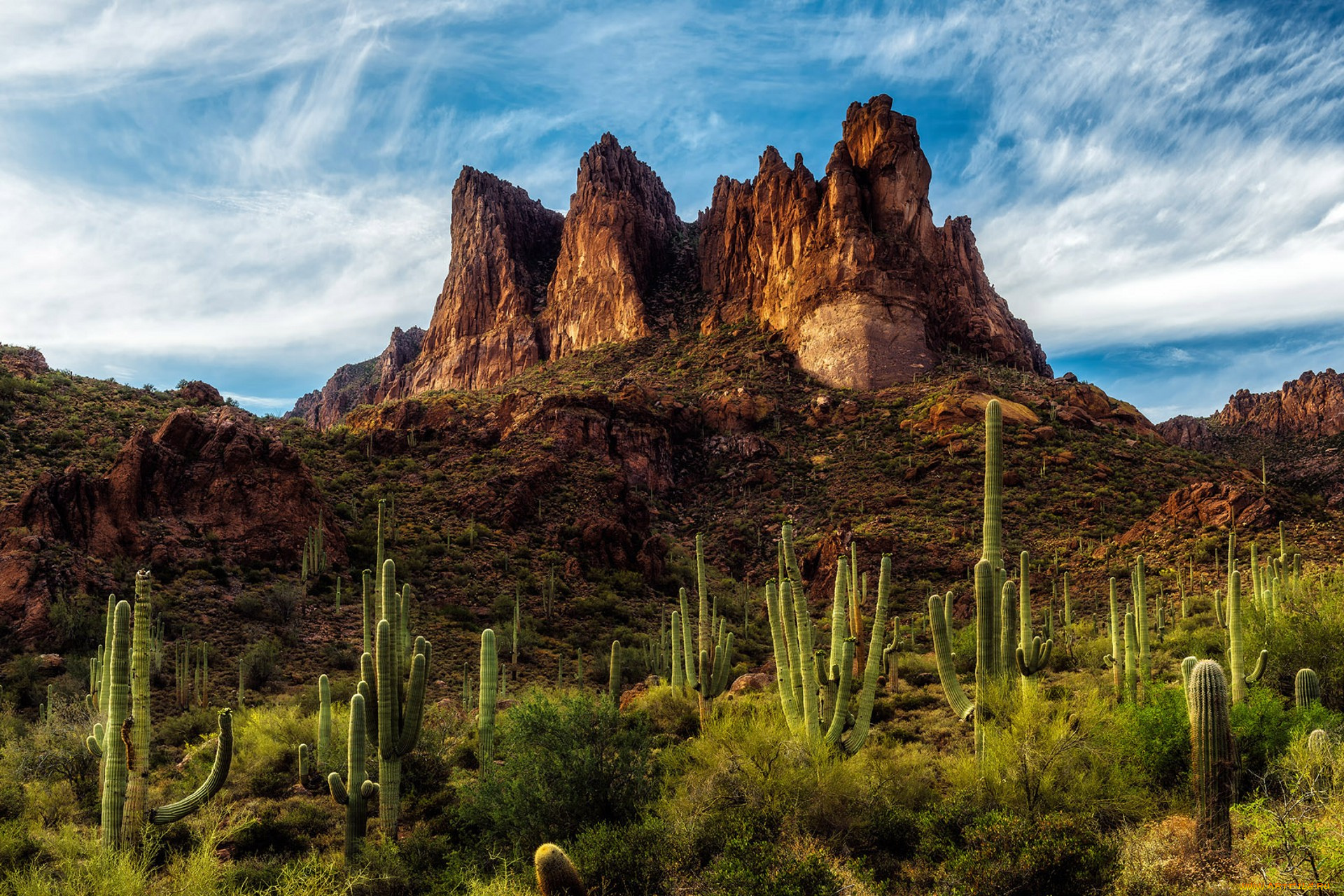 природа, пустыни, простор