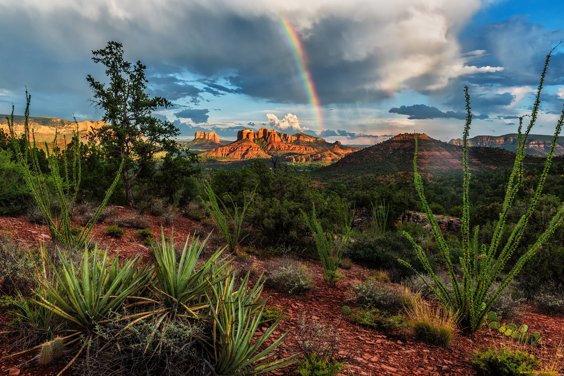 природа, пустыни, простор