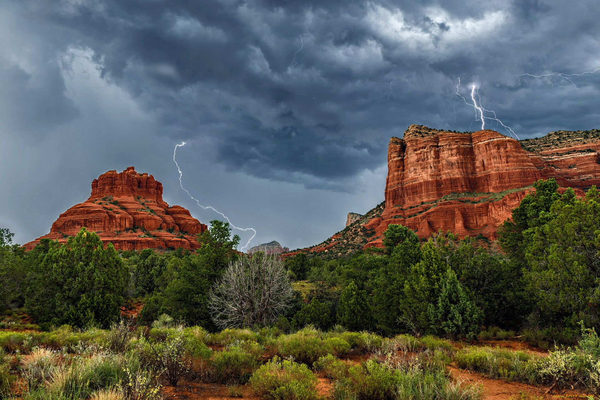 природа, пустыни, простор