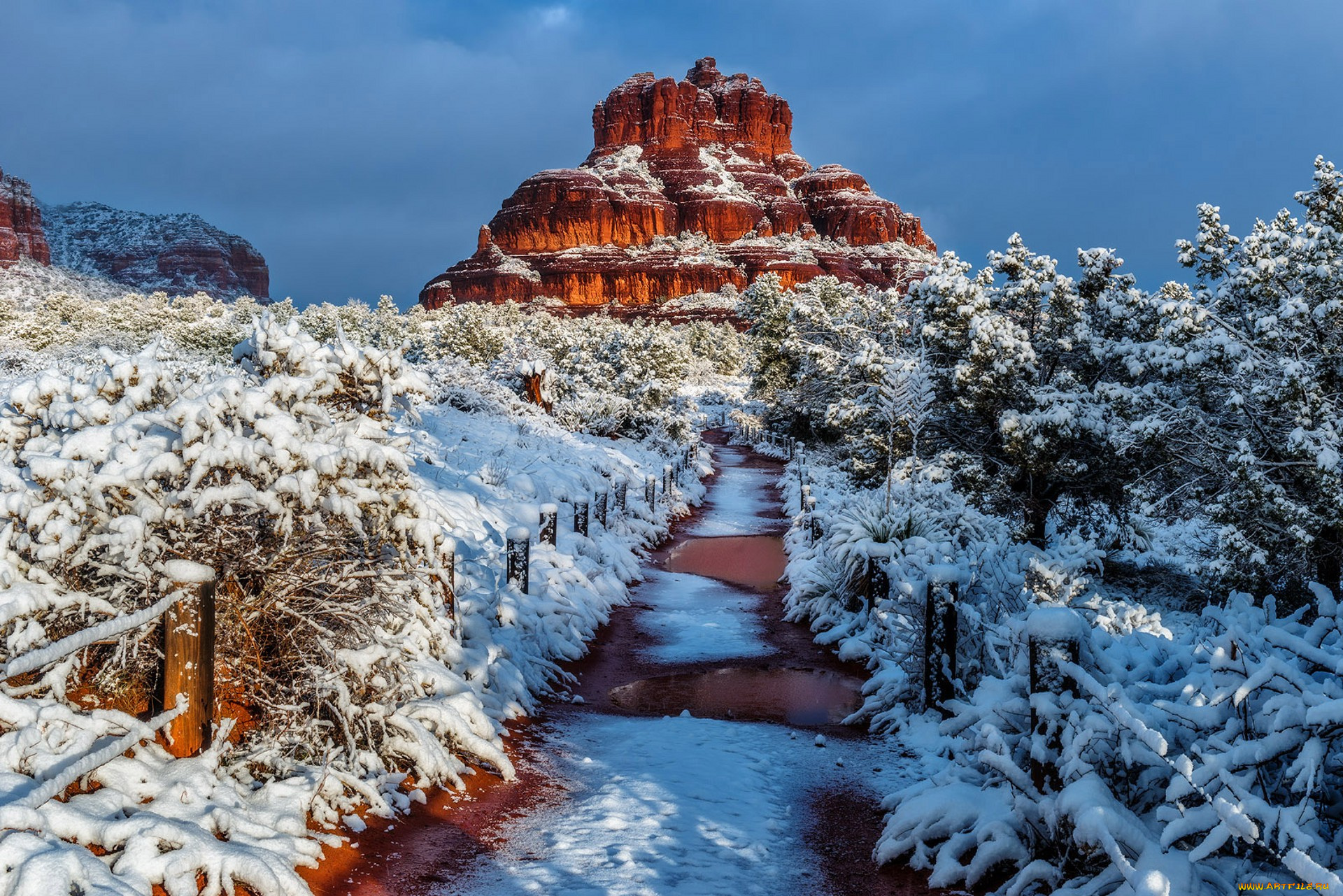 природа, зима, простор