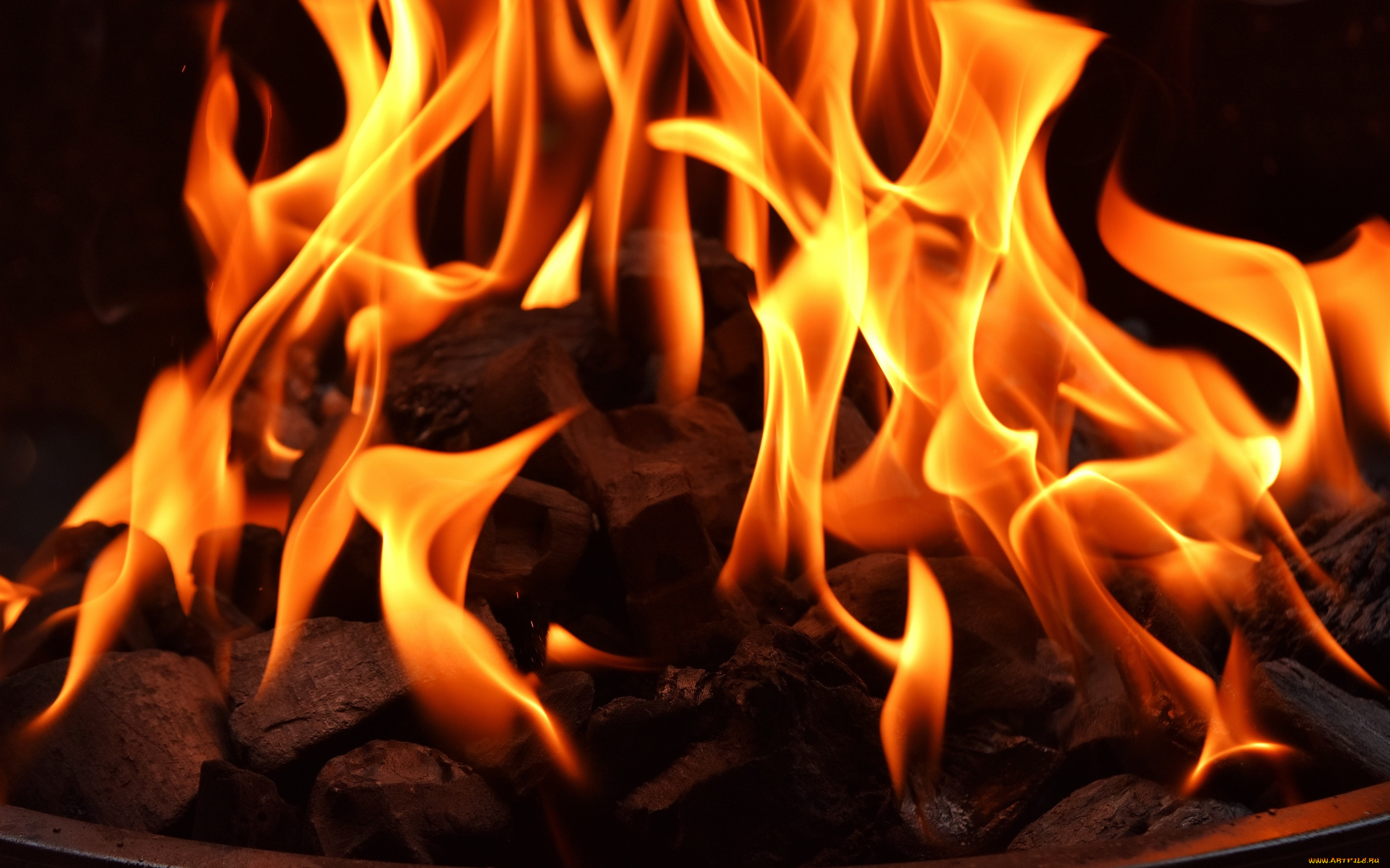 природа, огонь, пламя