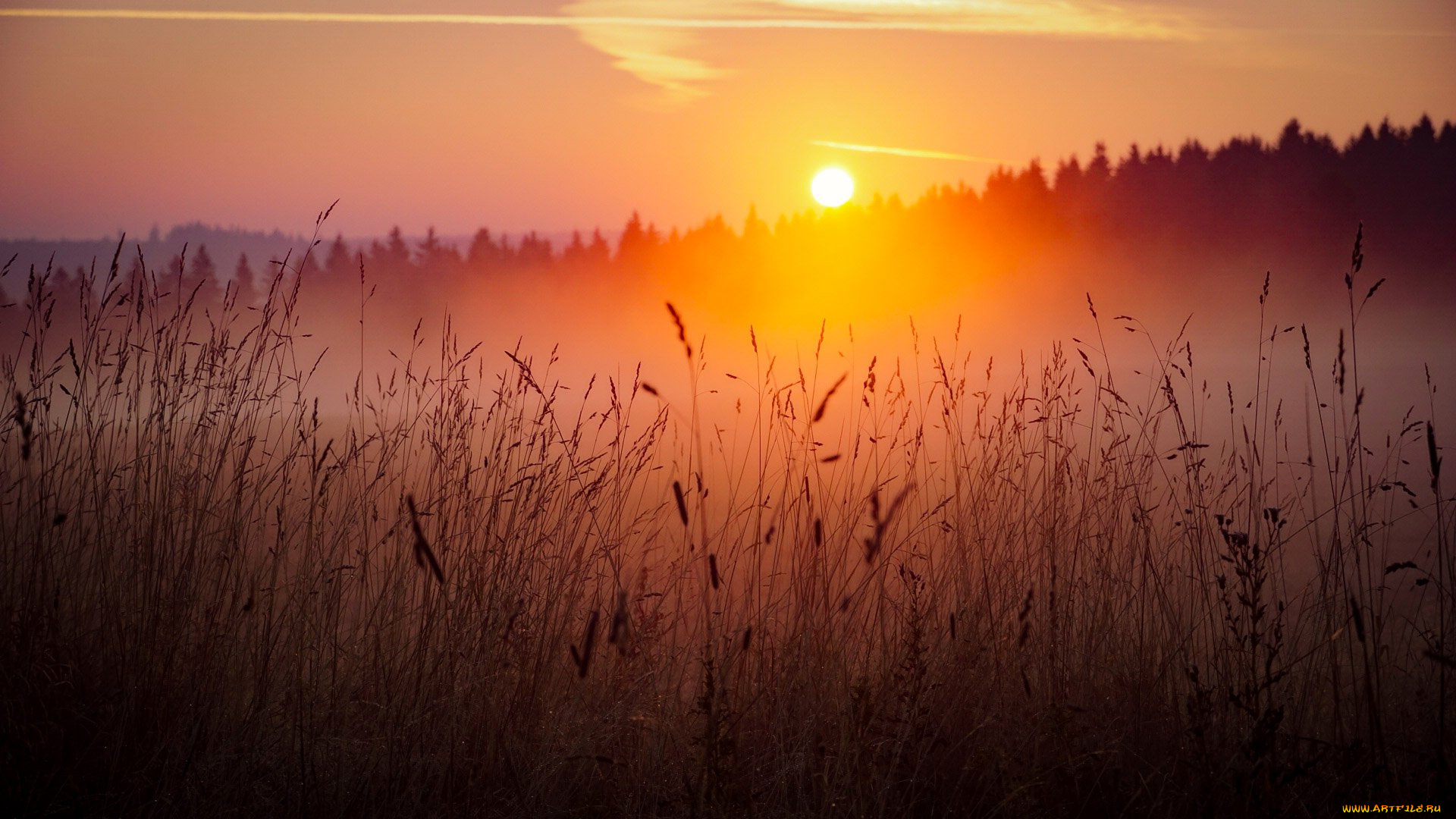 природа, восходы, закаты, простор