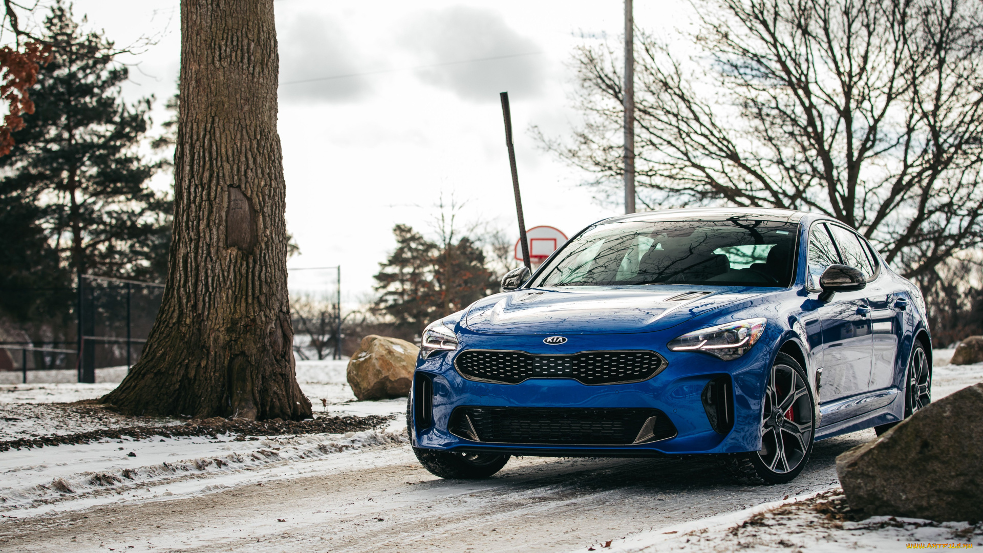 автомобили, kia