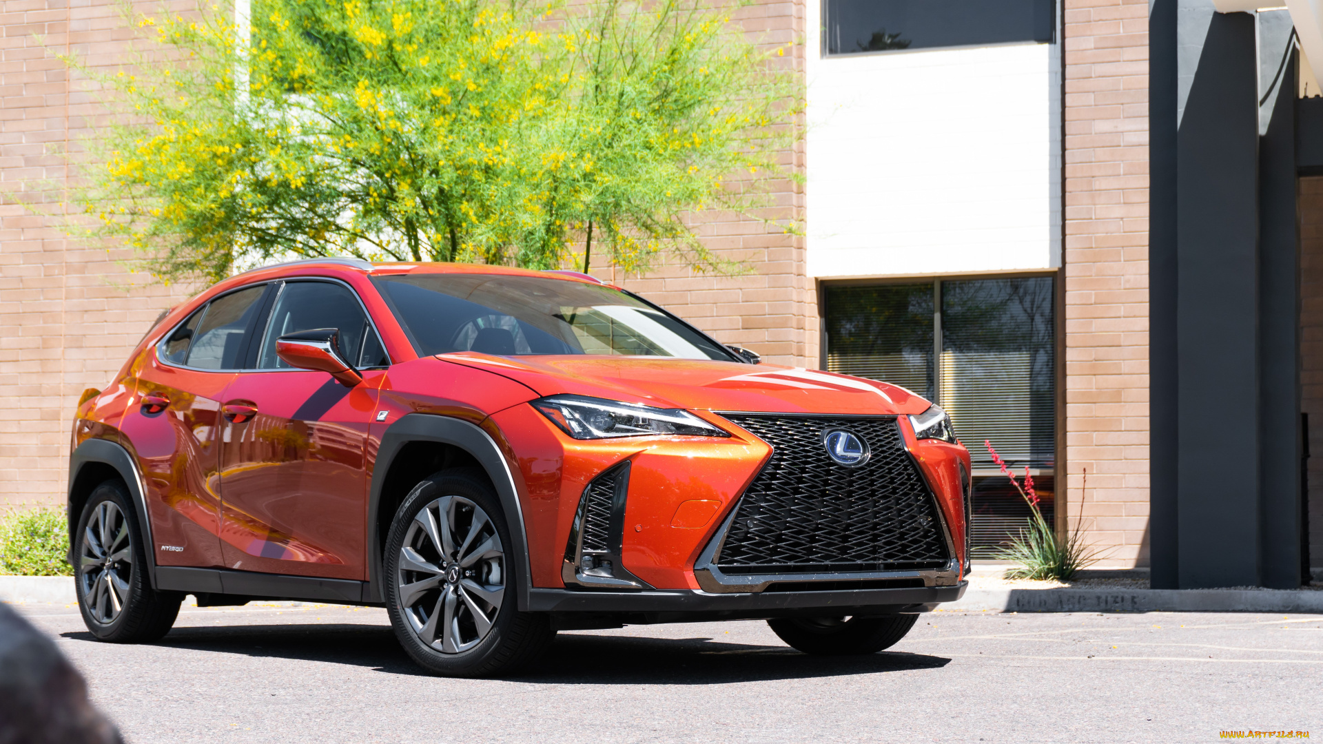 автомобили, lexus