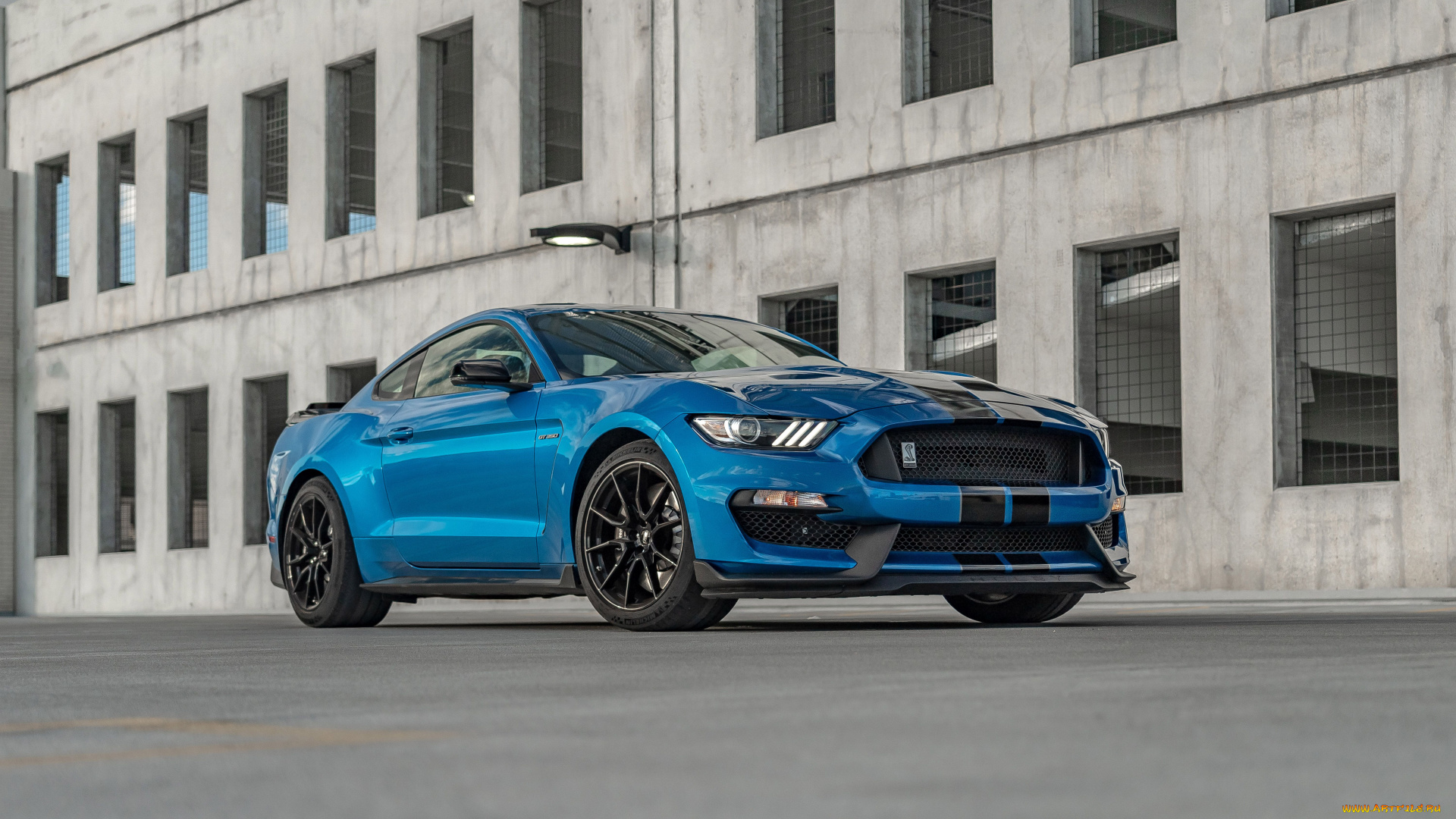 автомобили, mustang