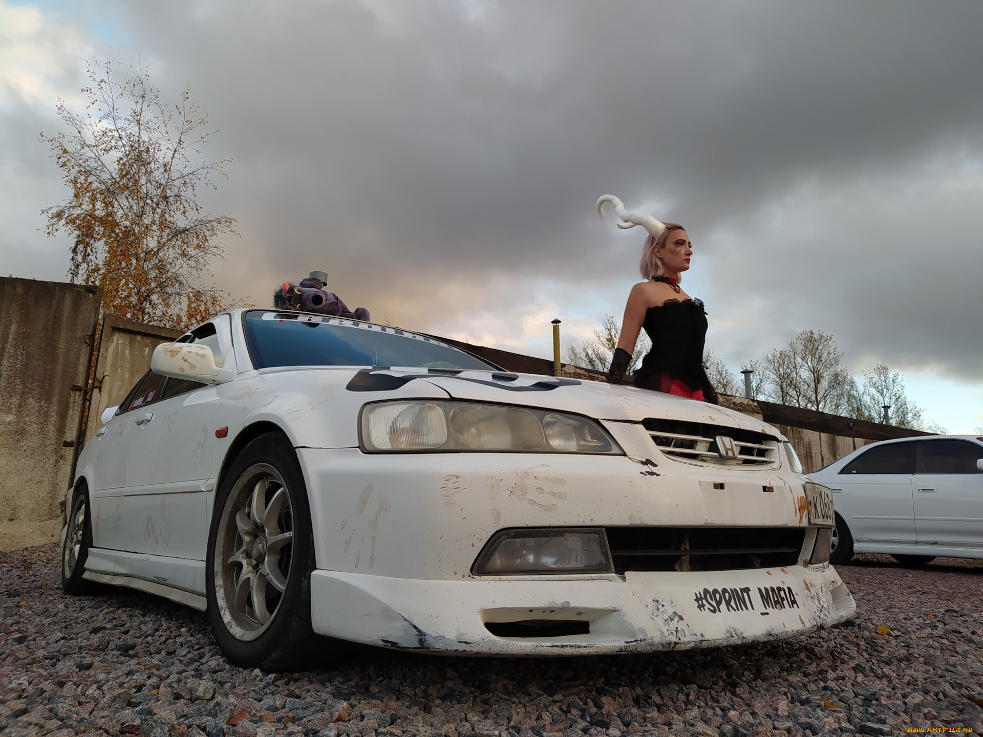 автомобили, -авто, с, девушками, honda, accord