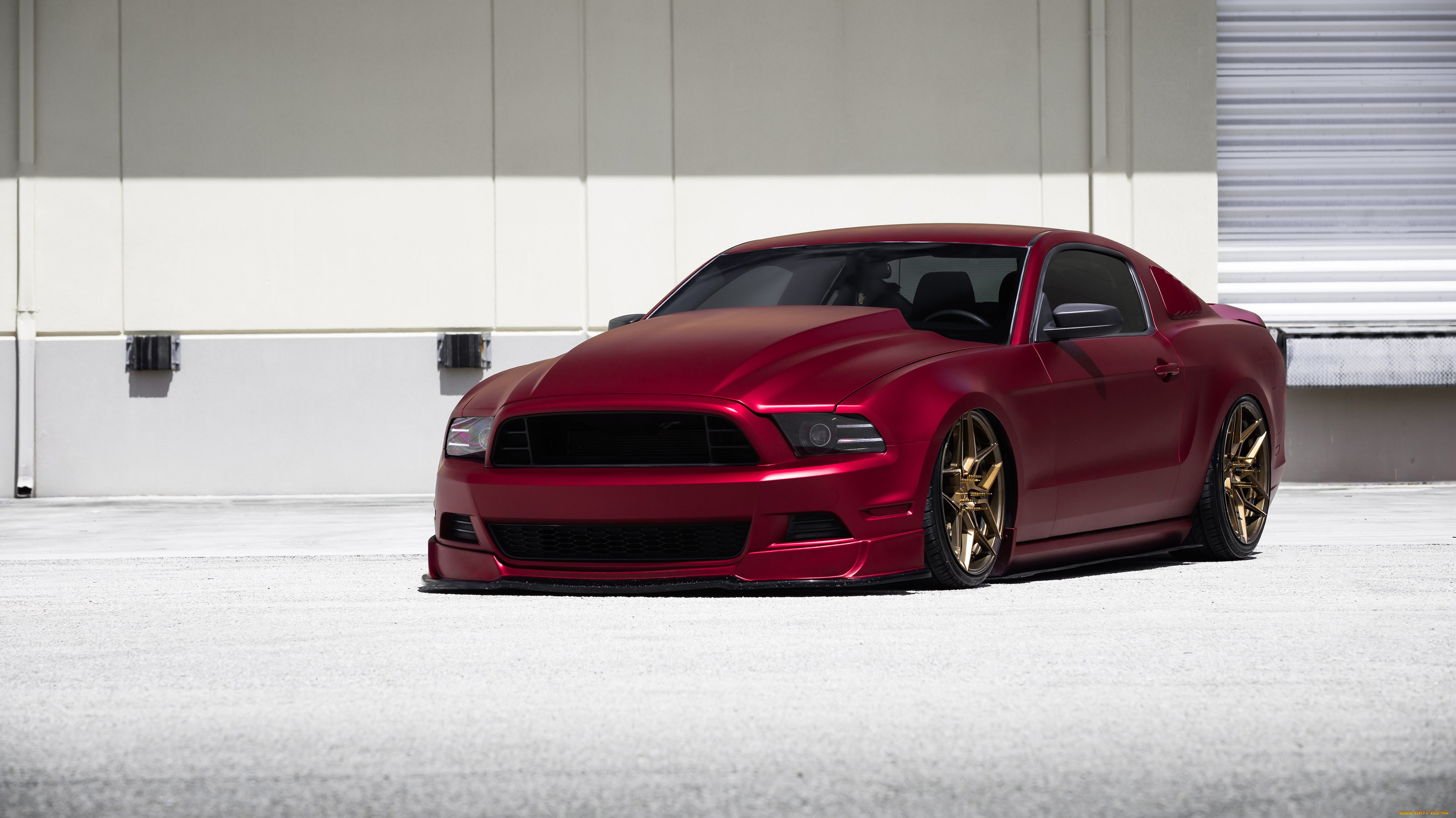 автомобили, mustang, ford