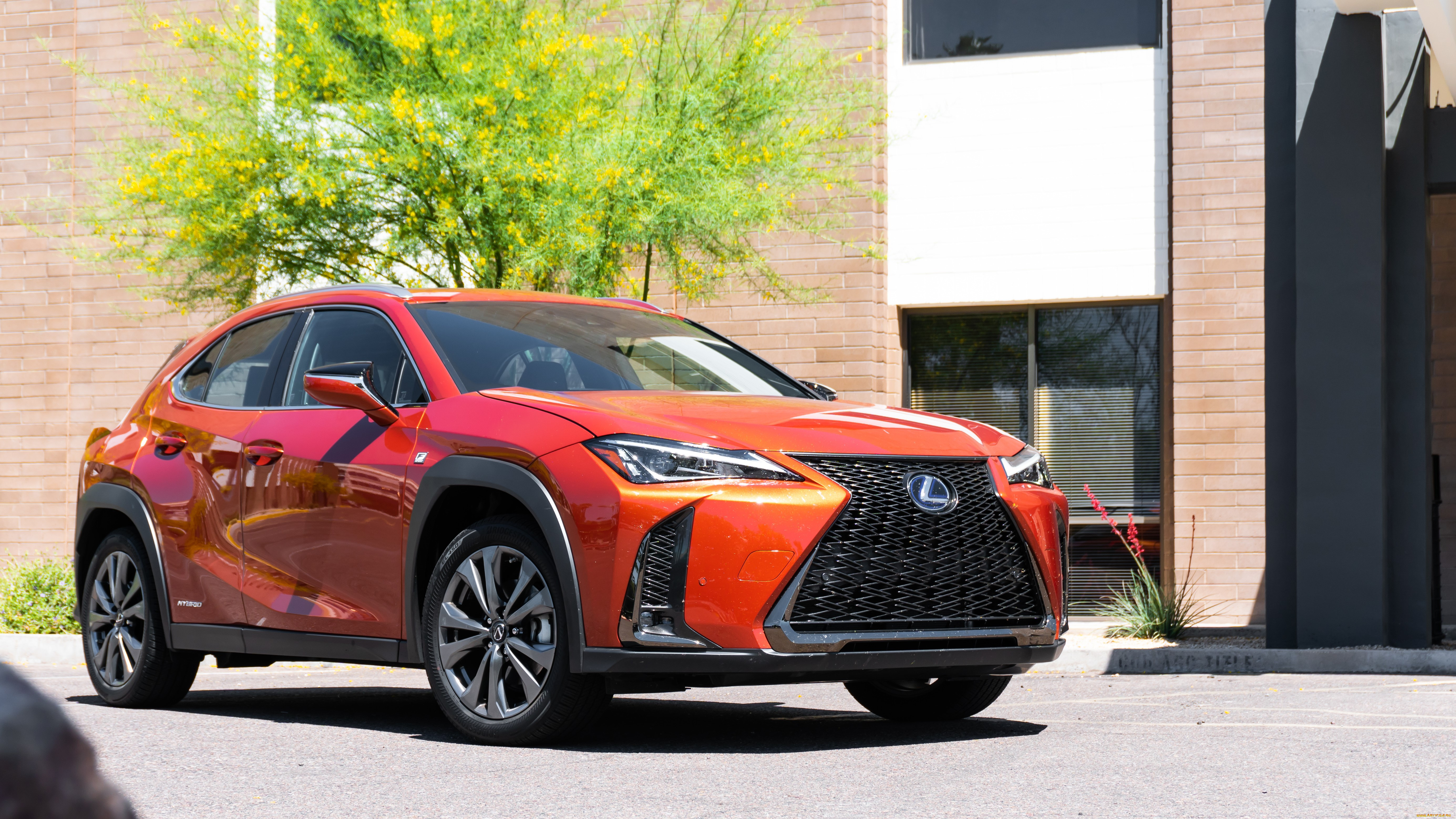 автомобили, lexus