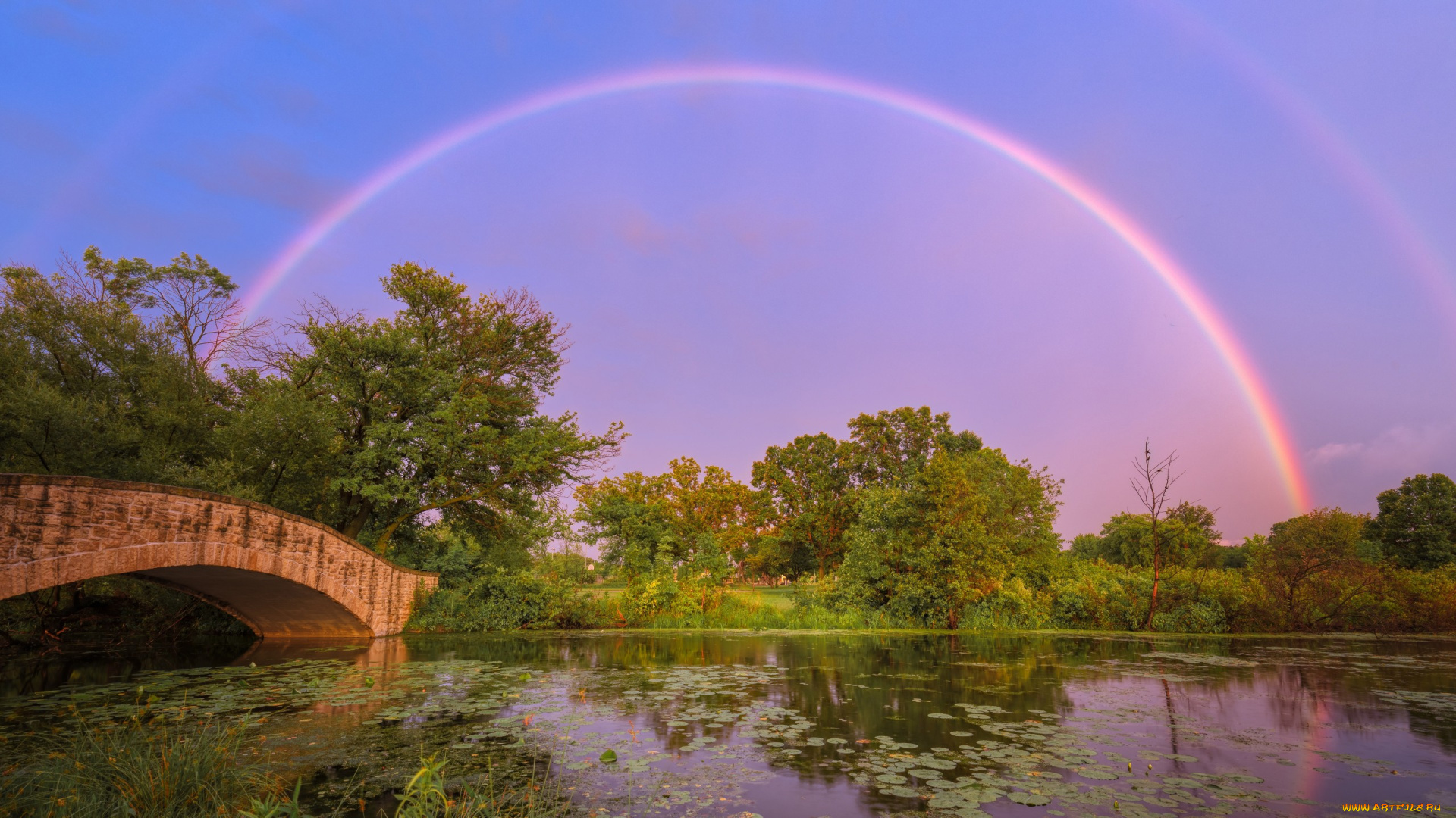 природа, радуга, водоем, мостик