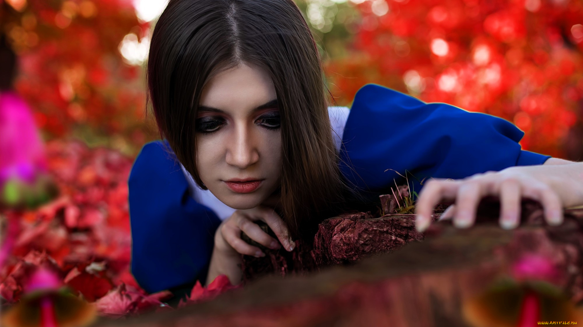 девушки, tomka, violea, образ, косплей, наряд, костюм, платье, алиса, грибы, осень, листья, коряга