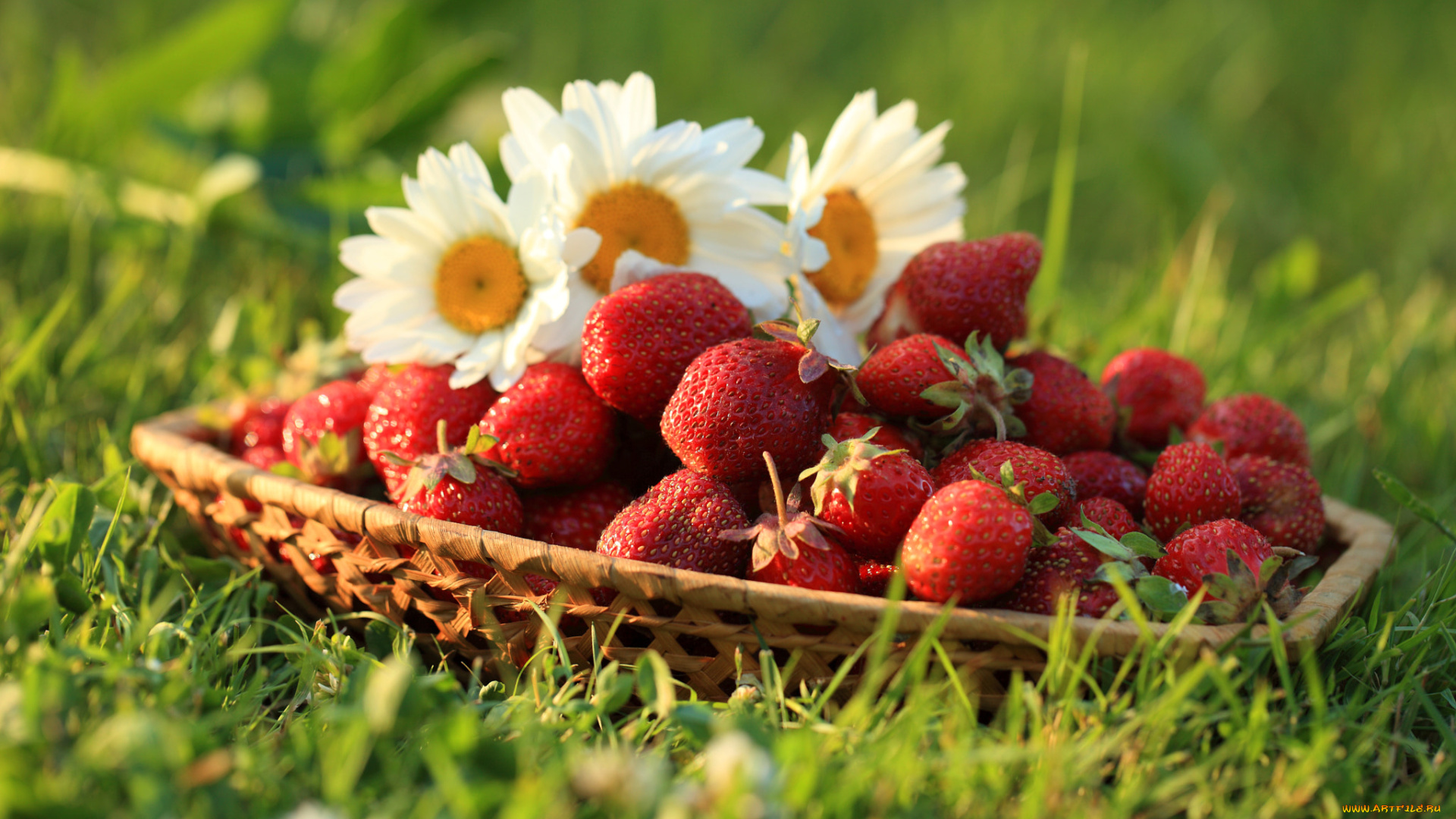 еда, клубника, , земляника, ромашки, ягоды, трава