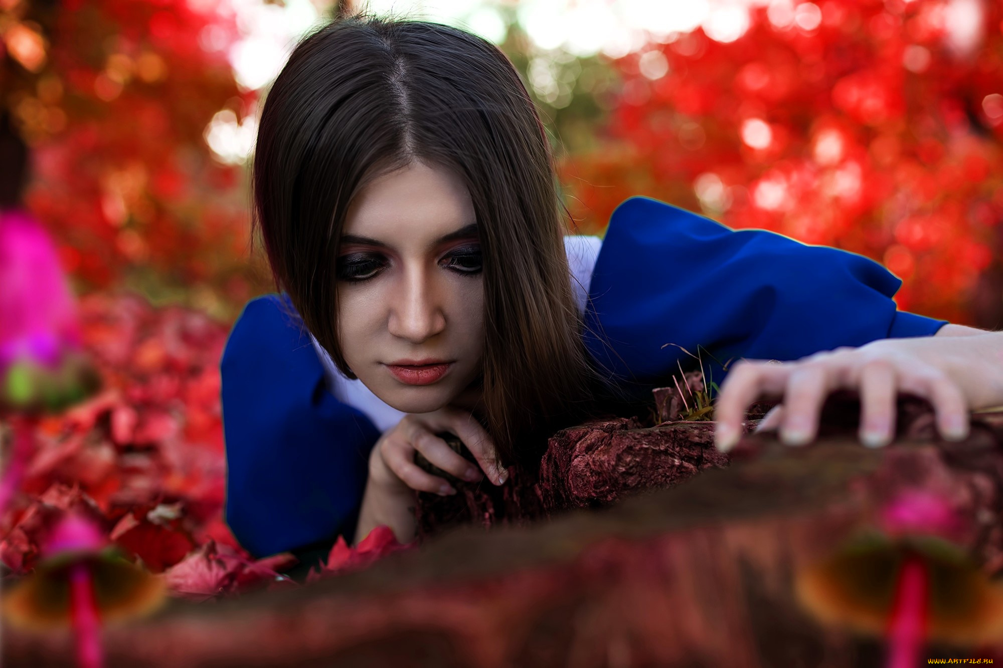 девушки, tomka, violea, образ, косплей, наряд, костюм, платье, алиса, грибы, осень, листья, коряга