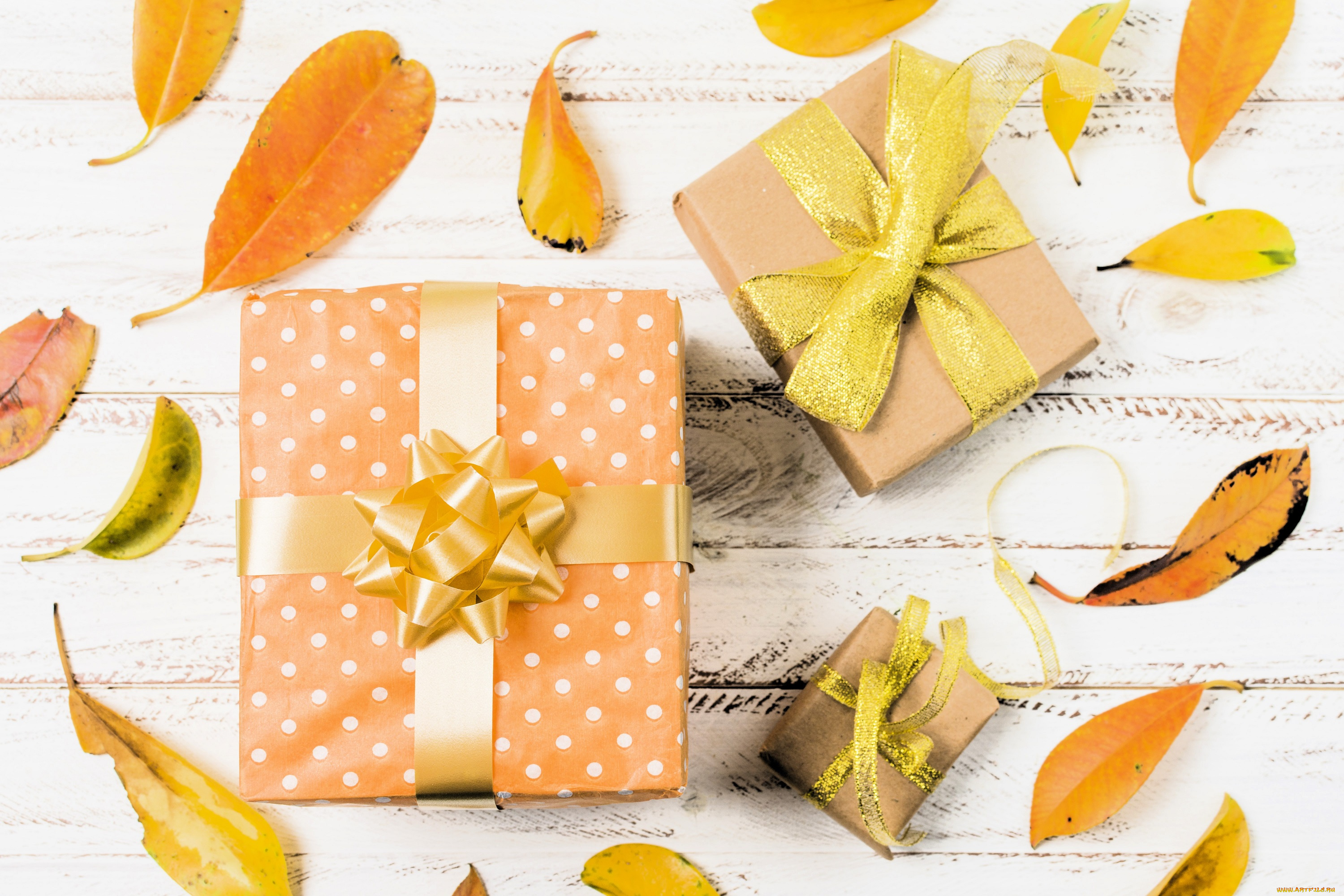 праздничные, подарки, и, коробочки, подарки, коробки, бант, листья, осень