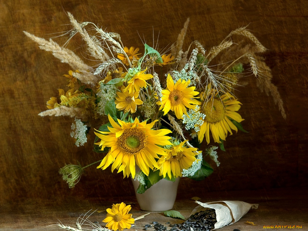 цветы, букеты, композиции