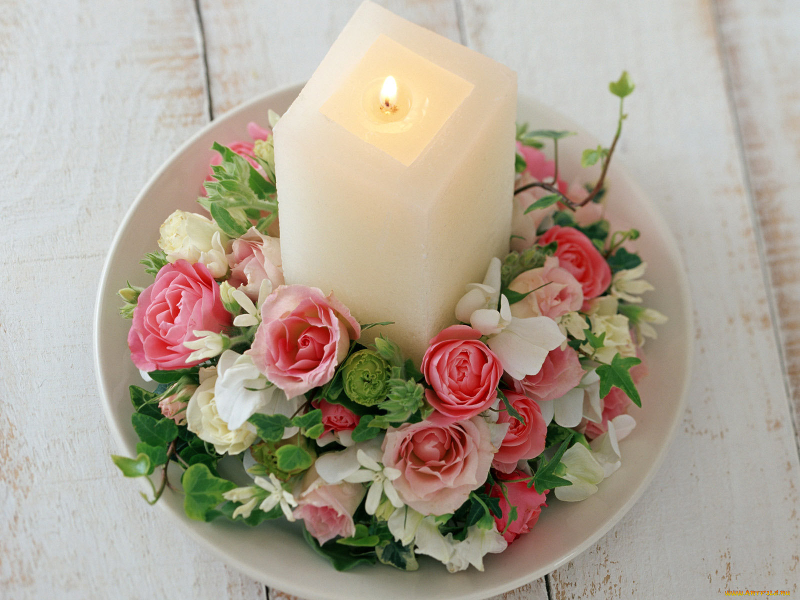 цветы, букеты, композиции