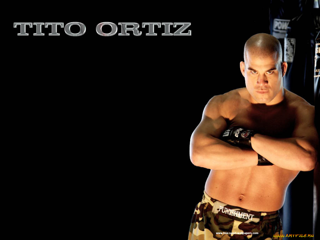 спорт, mix, fight