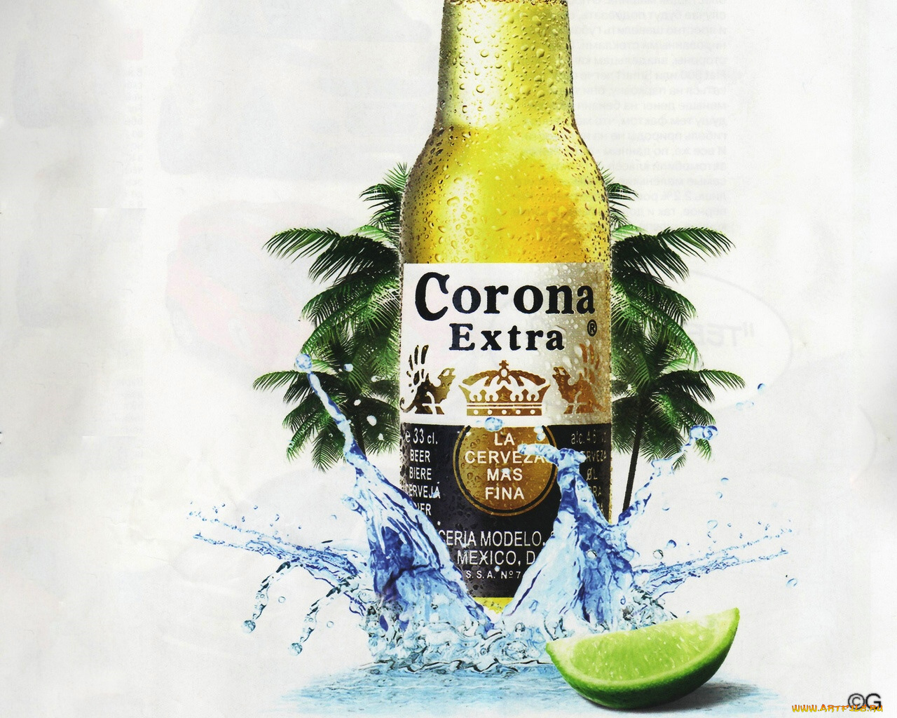 бренды, напитков, разное