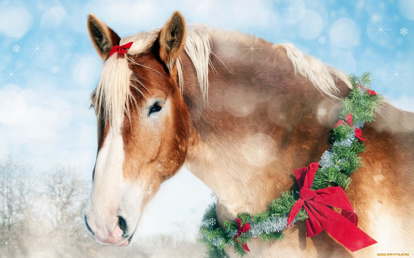 животные, лошади, венок
