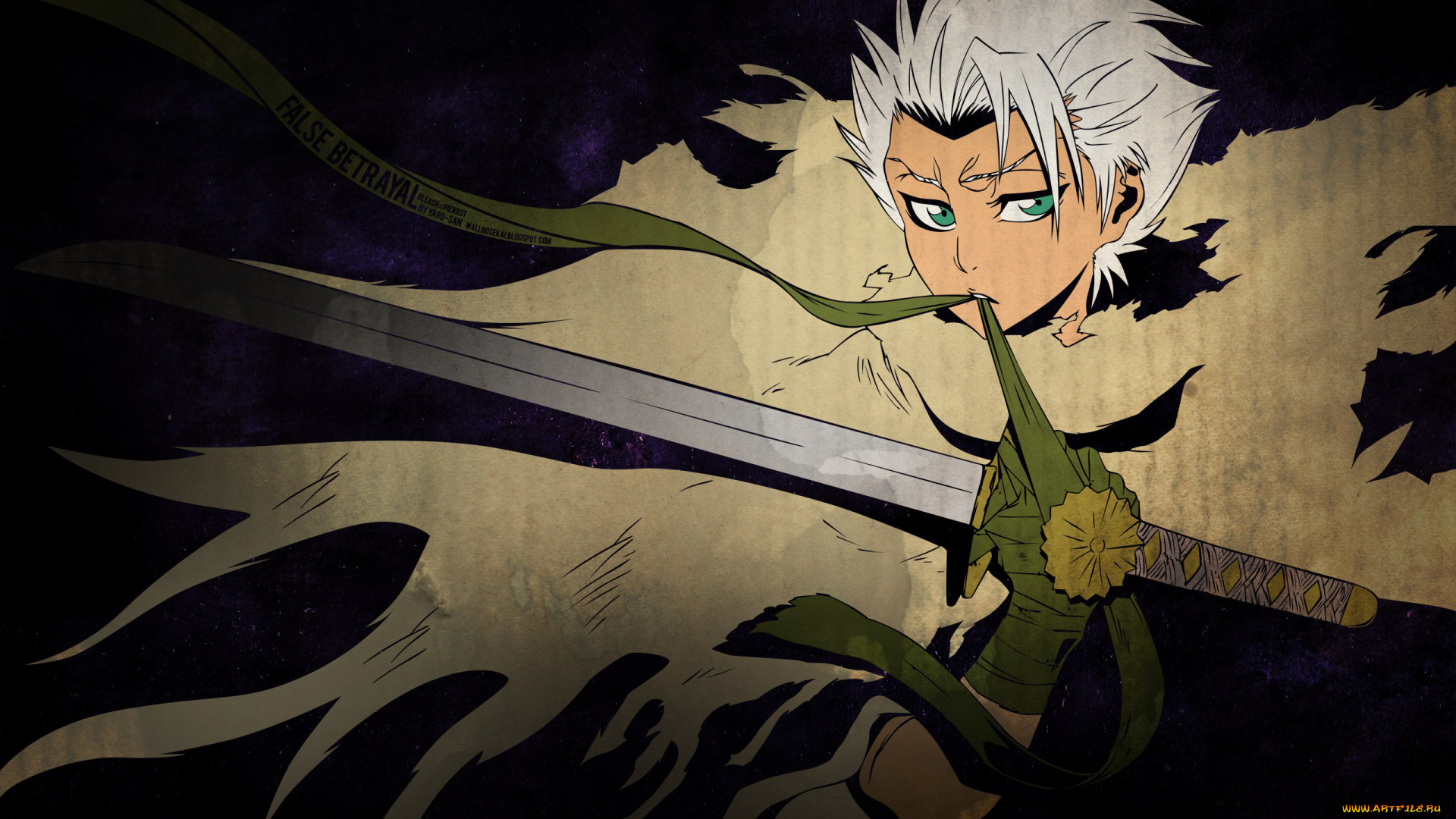 аниме, bleach, катана, парень, мантия, блич, занпакто, меч