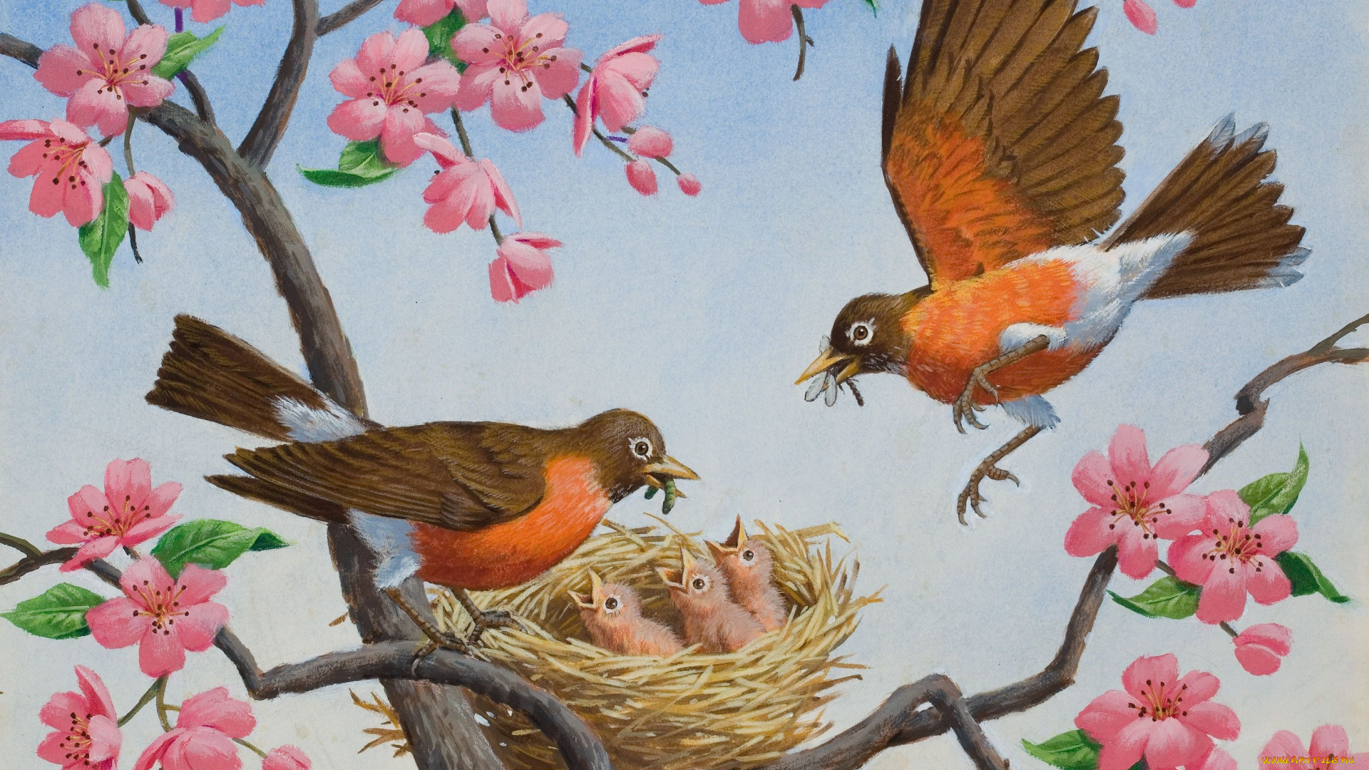 arthur, saron, sarnoff, рисованные, ветка, цветы, птенцы, гнездо, птицы