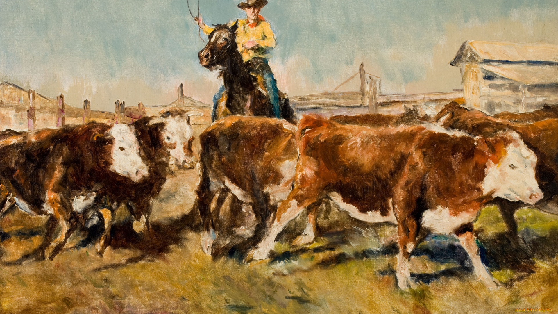 pal, fried, рисованные, ковбой, пастух, коровы, стадо