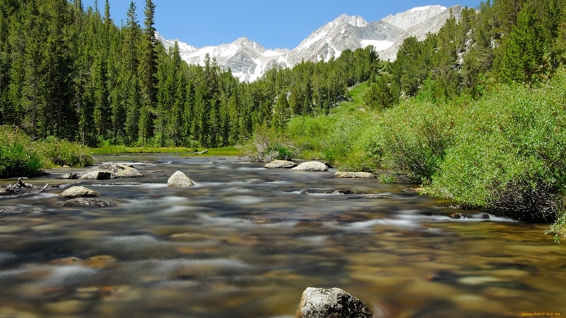 природа, реки, озера, кусты, камни, горы, деревья, река