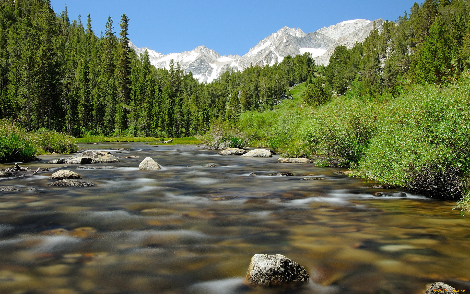 природа, реки, озера, кусты, камни, горы, деревья, река