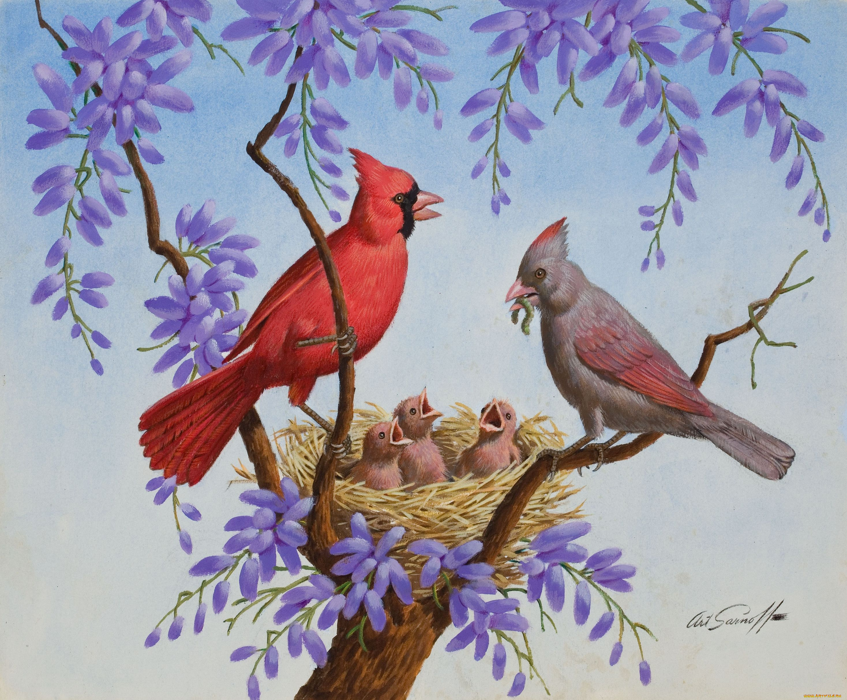 arthur, saron, sarnoff, рисованные, птицы, птенцы, гнездо