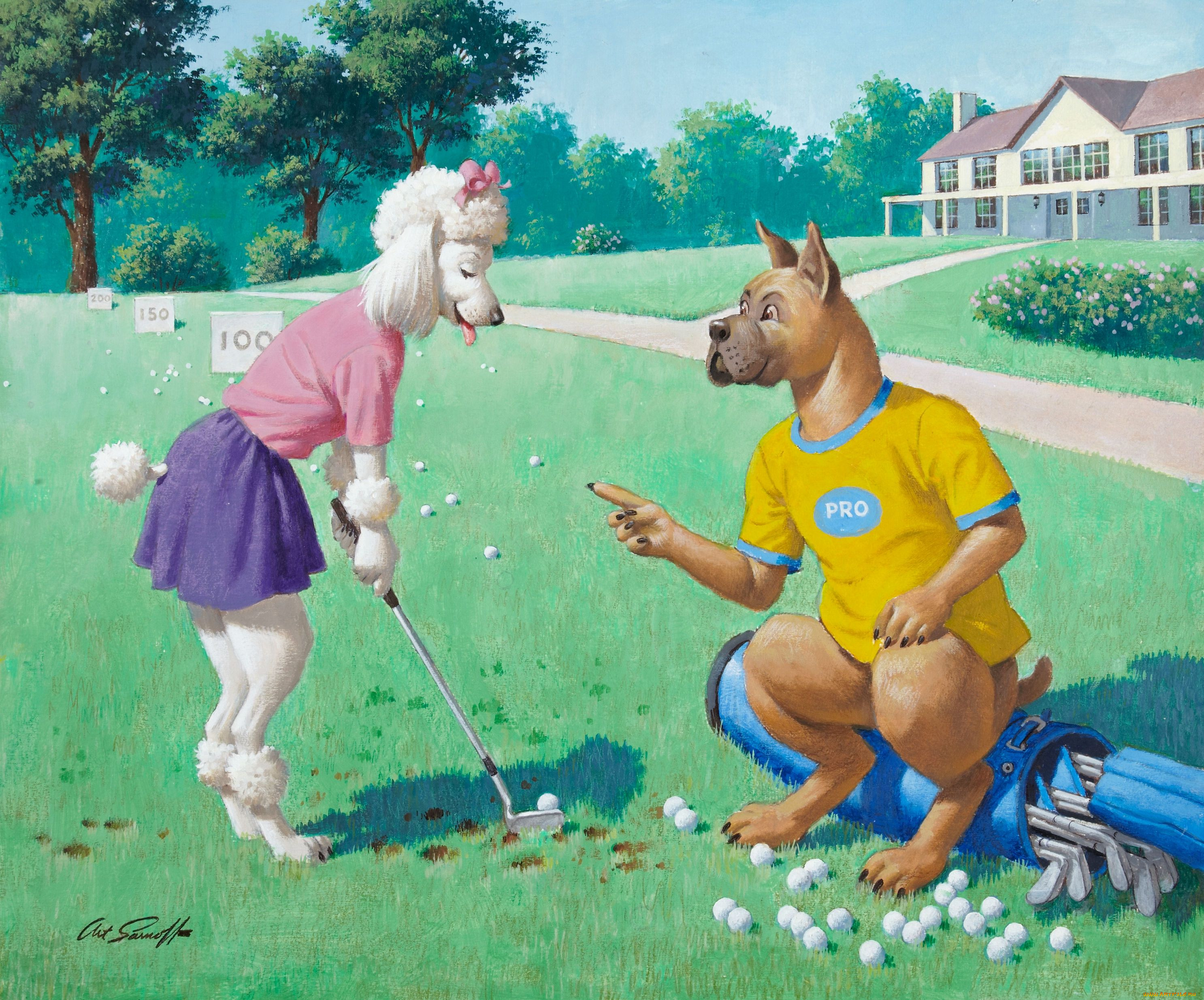 arthur, saron, sarnoff, рисованные, гольф, собаки