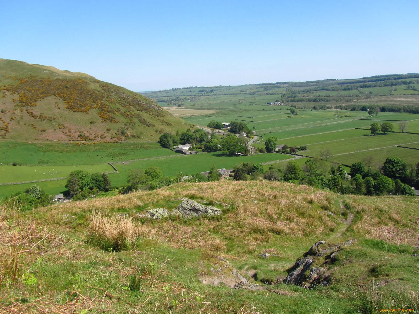 природа, поля, дома