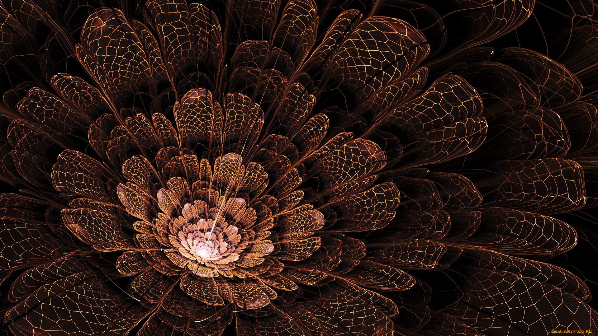 3д, графика, flowers, цветы, лепестки, цветок