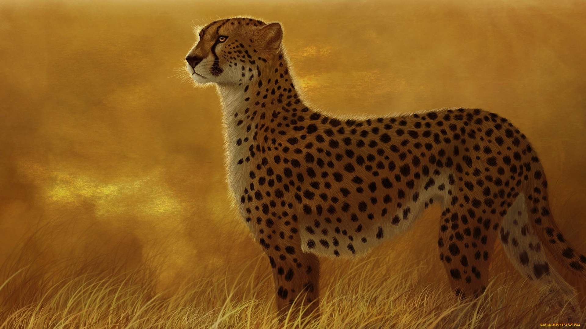 рисованные, животные, гепарды, трава, дикая, кошка, хищник, гепард, саванна