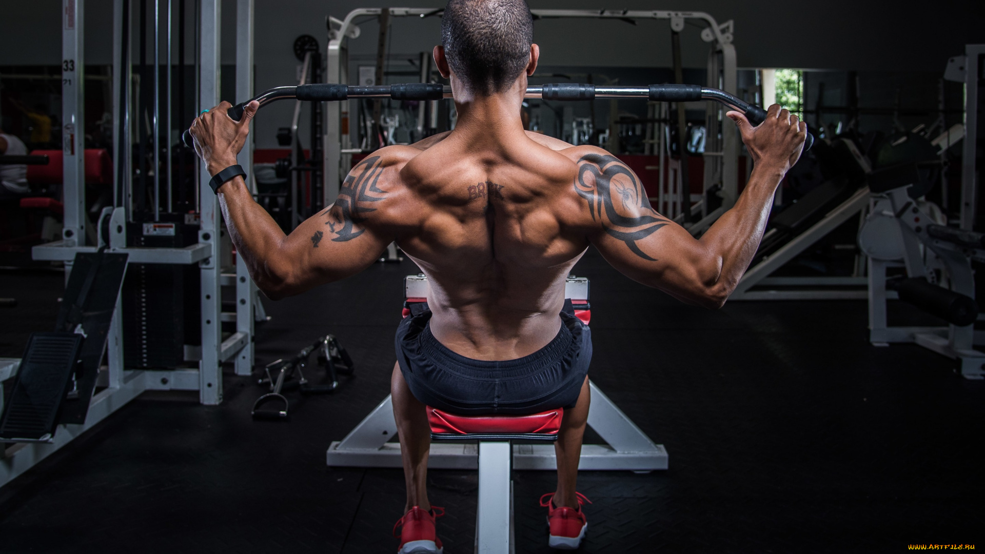 спорт, body, building, мужчина, спина, спортзал, татуировки