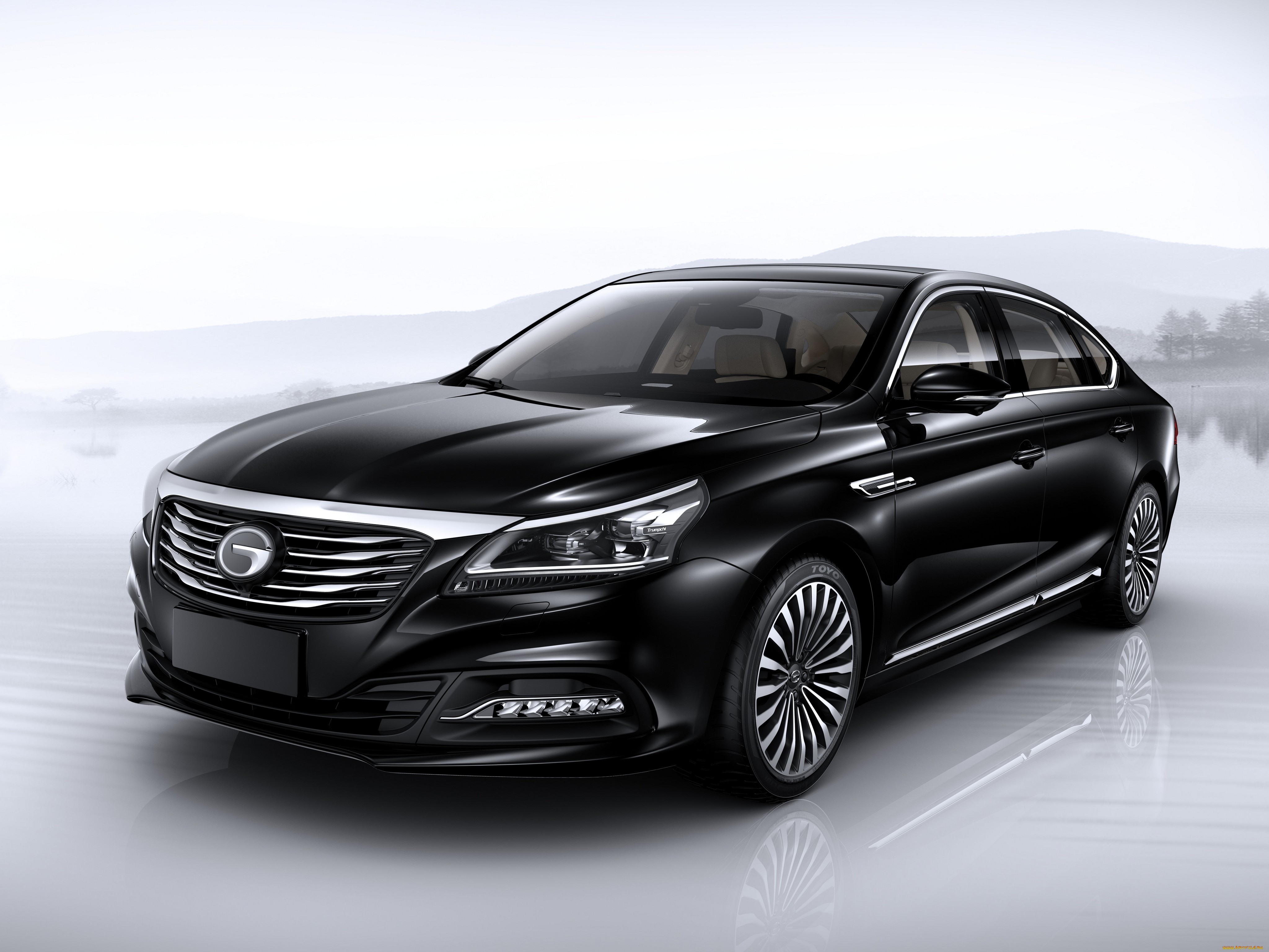 автомобили, gac, trumpchi, темный, 2015г, ga8