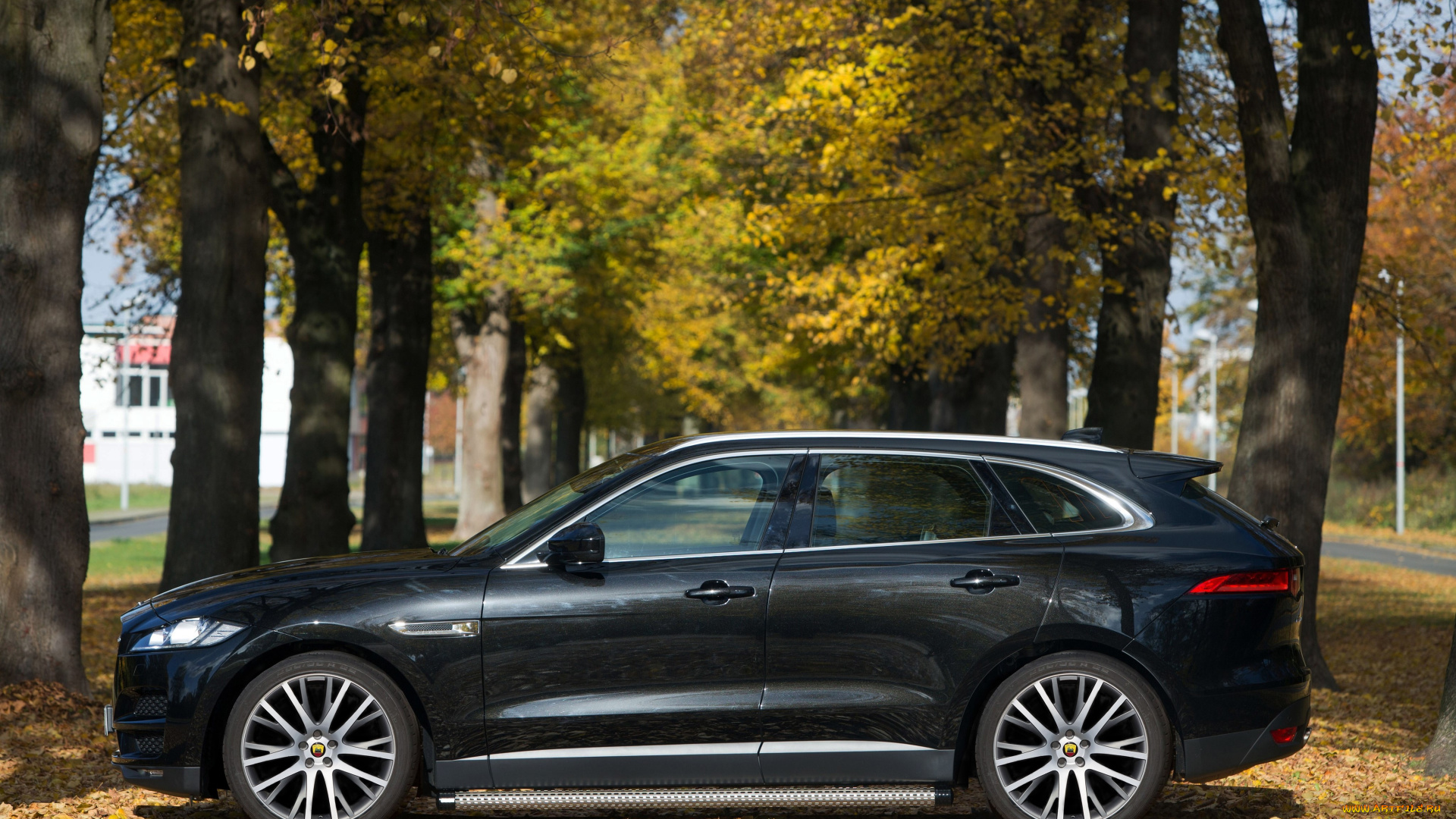 автомобили, jaguar