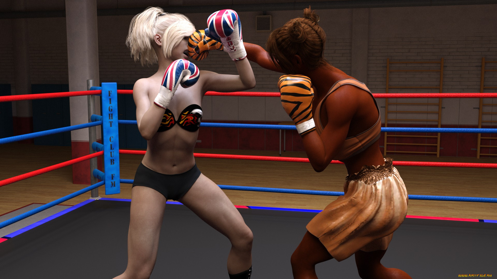 3д, графика, спорт, , sport, бокс, фон, взгляд, девушки