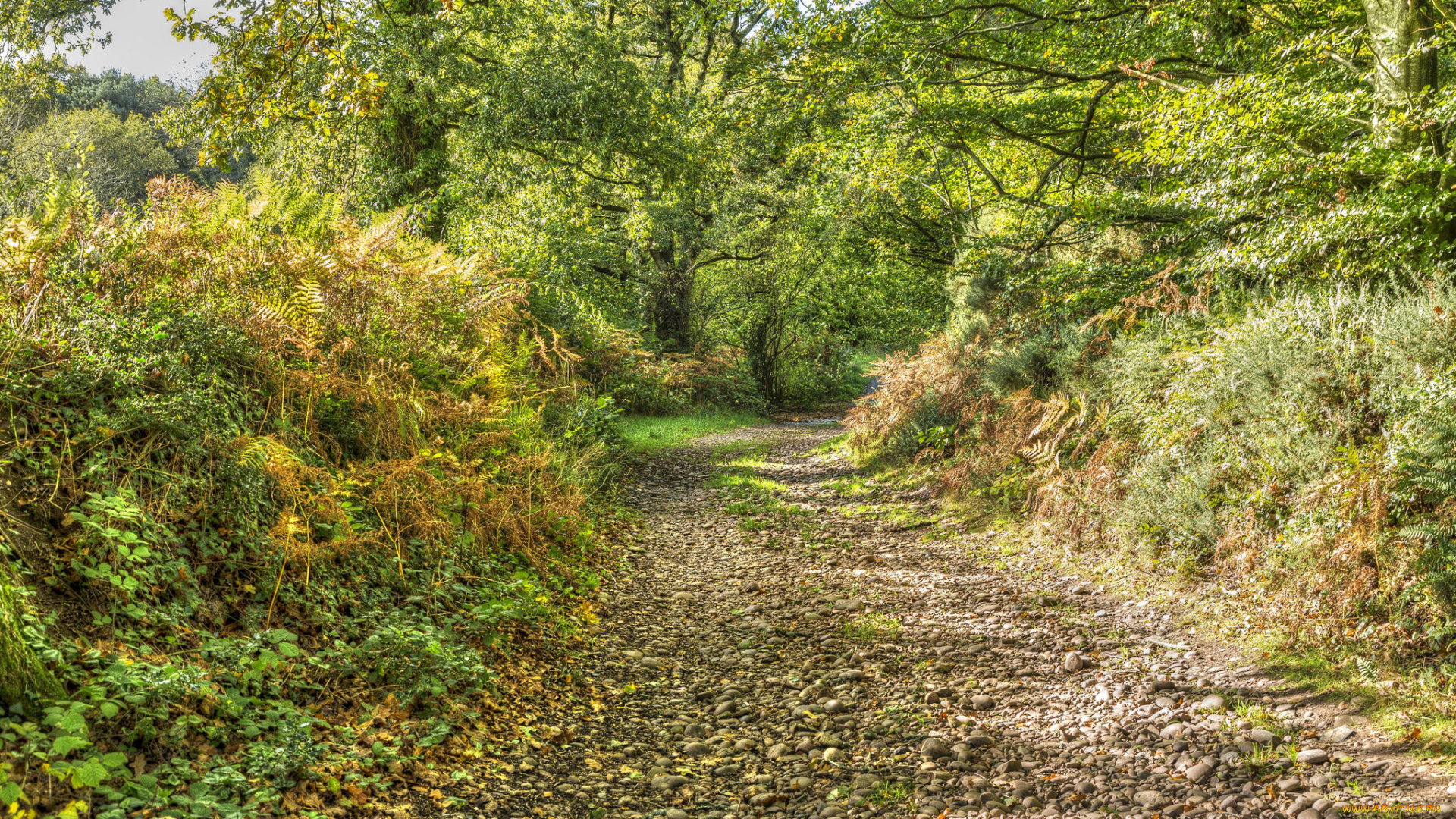 природа, дороги, простор