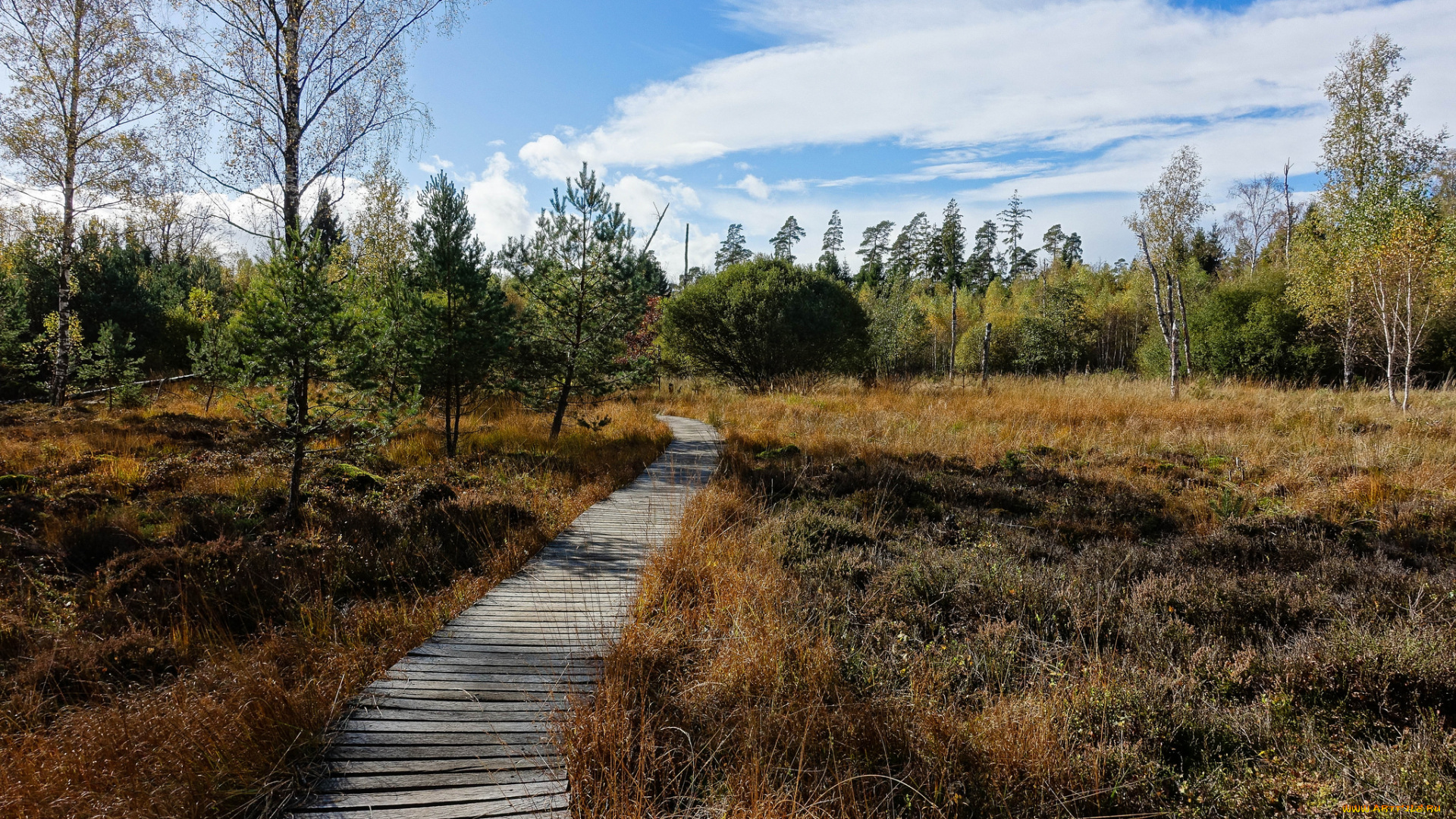 природа, дороги, простор