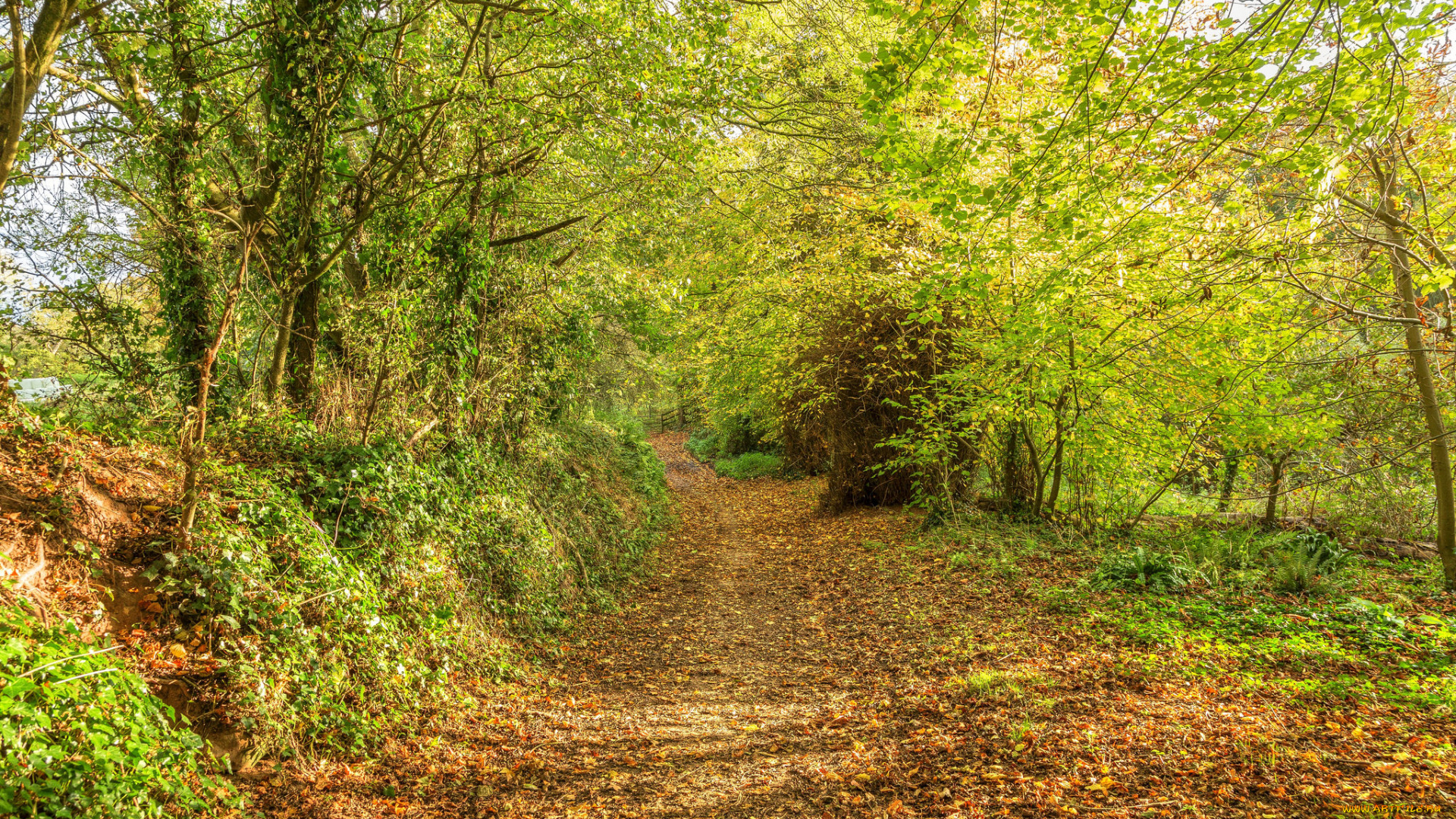 природа, дороги, простор