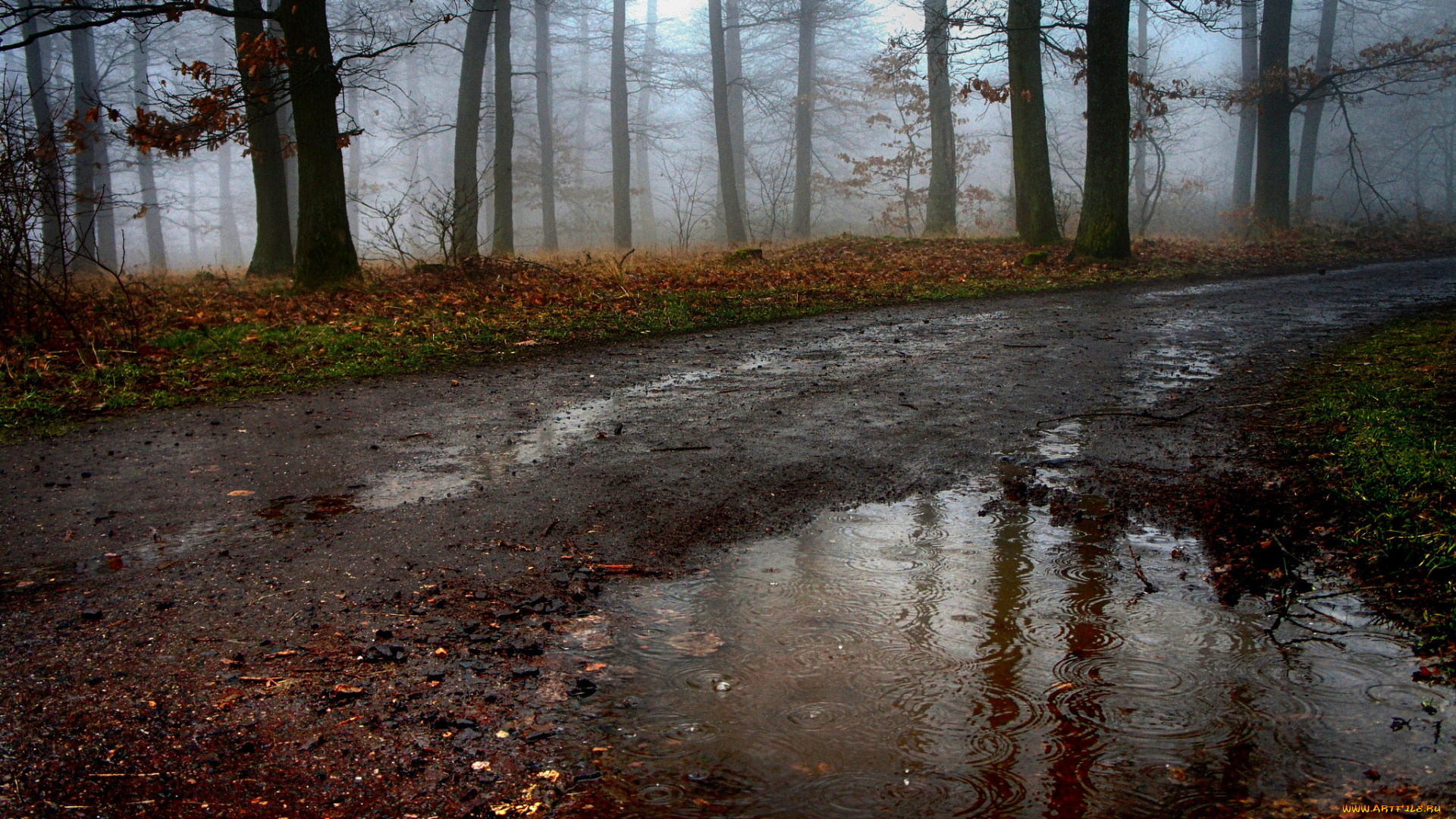 природа, дороги, простор