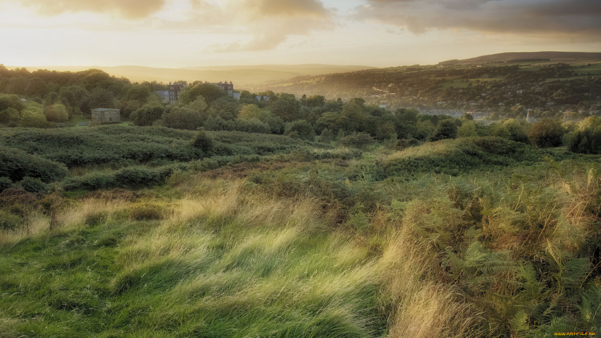природа, пейзажи, простор