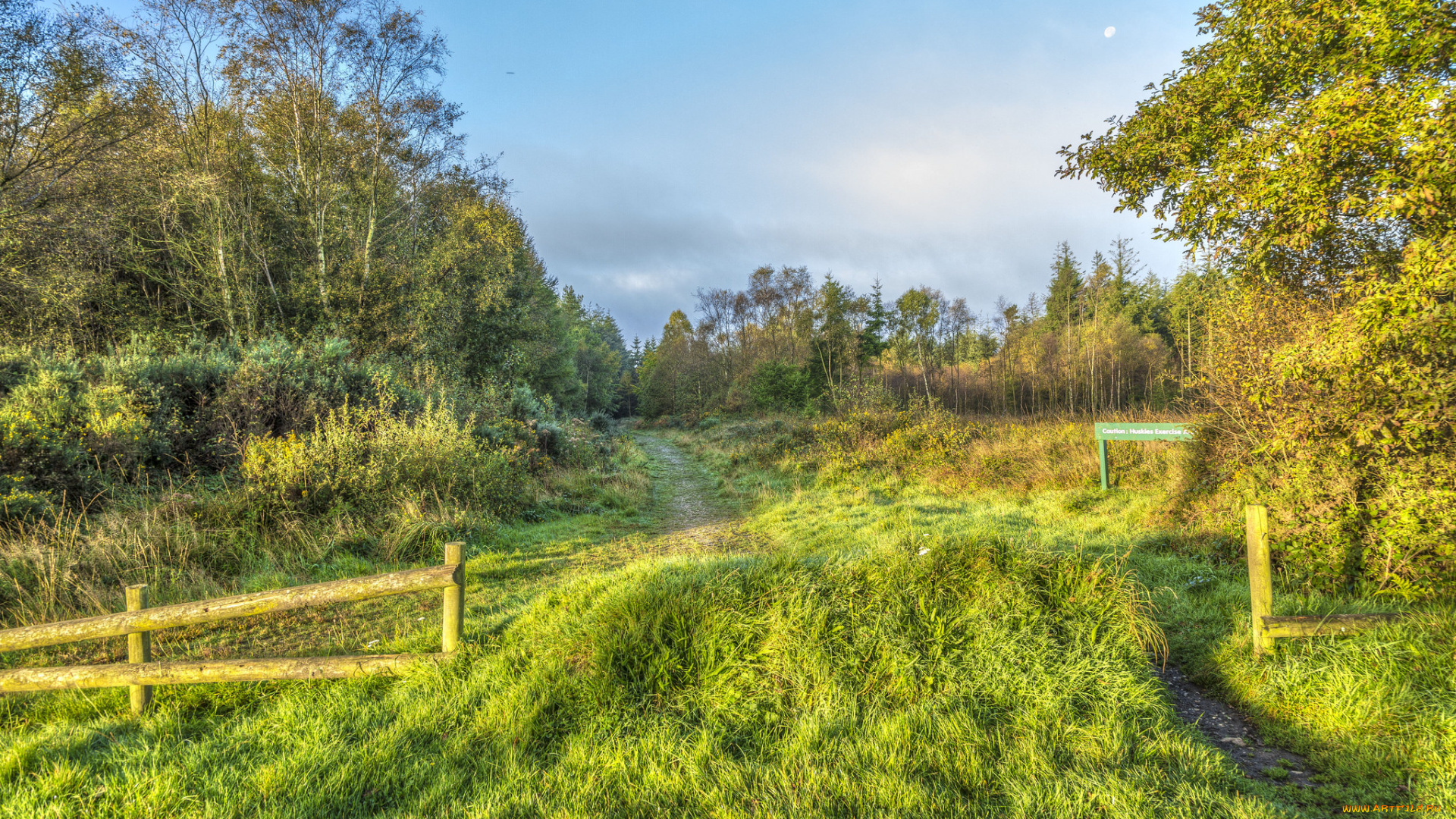 природа, пейзажи, простор