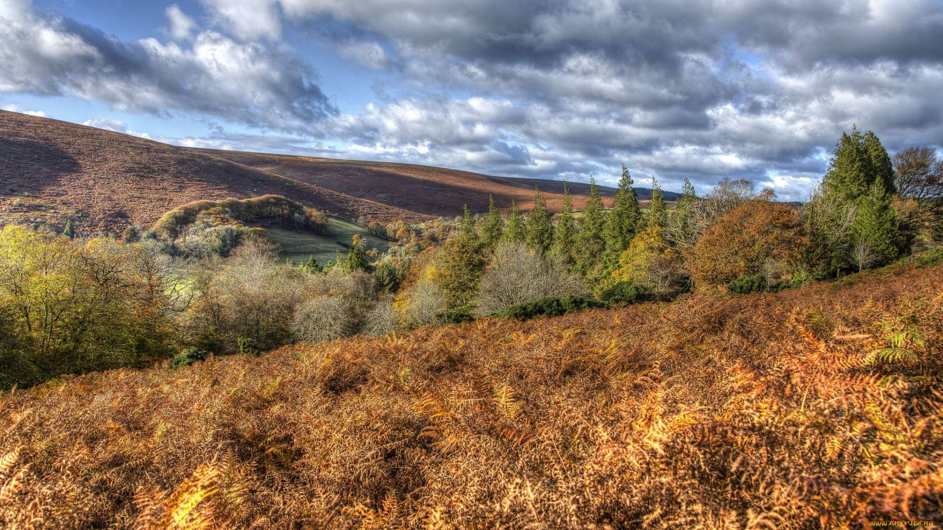 природа, пейзажи, простор