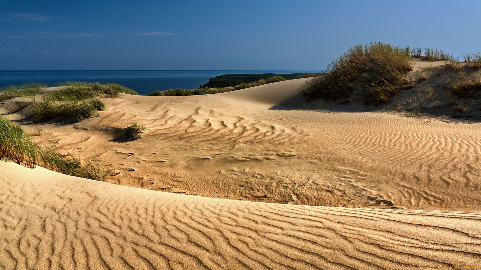 природа, побережье, простор