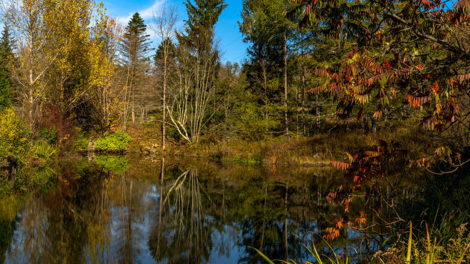 природа, реки, озера, простор