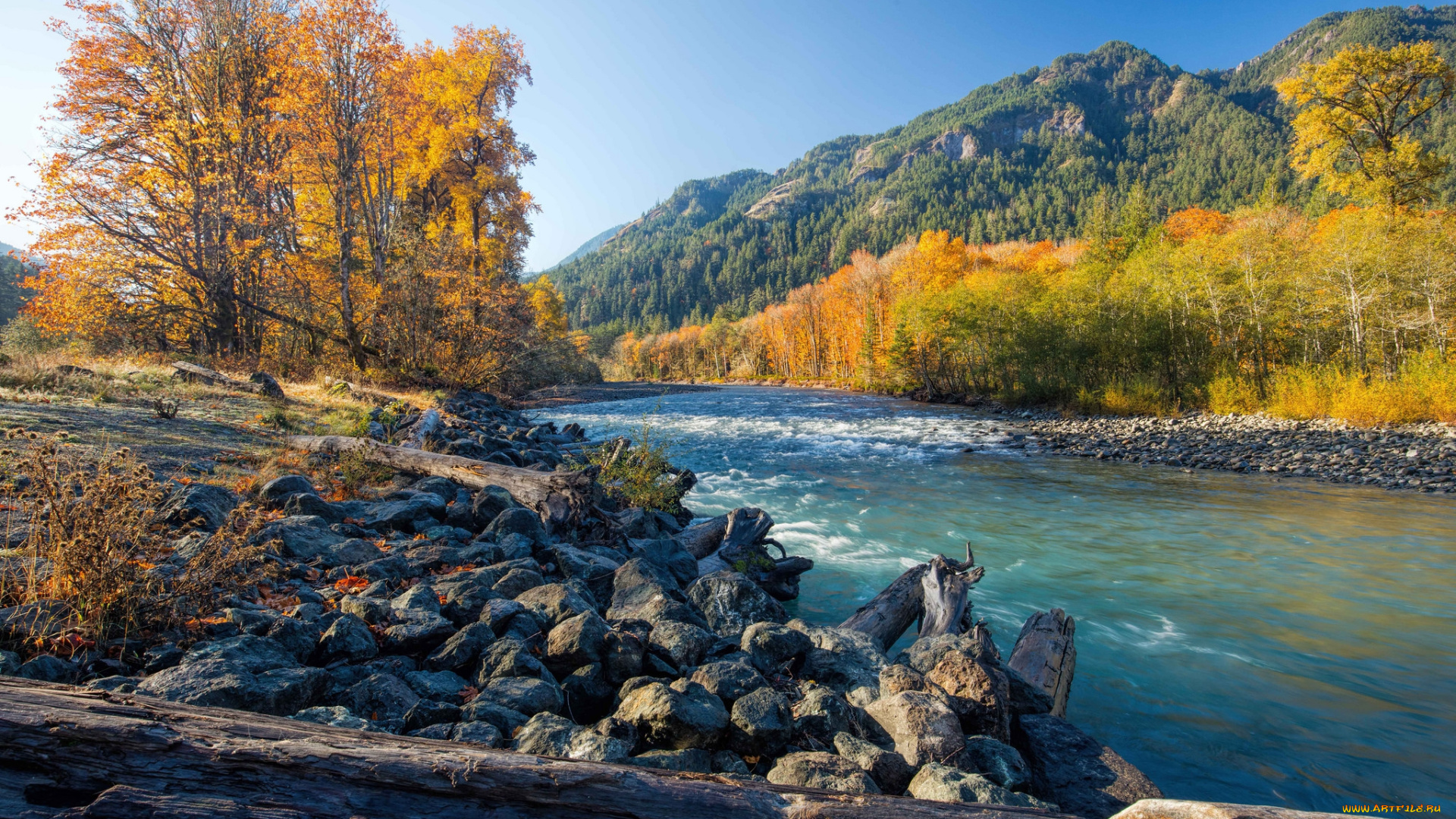 природа, реки, озера, простор