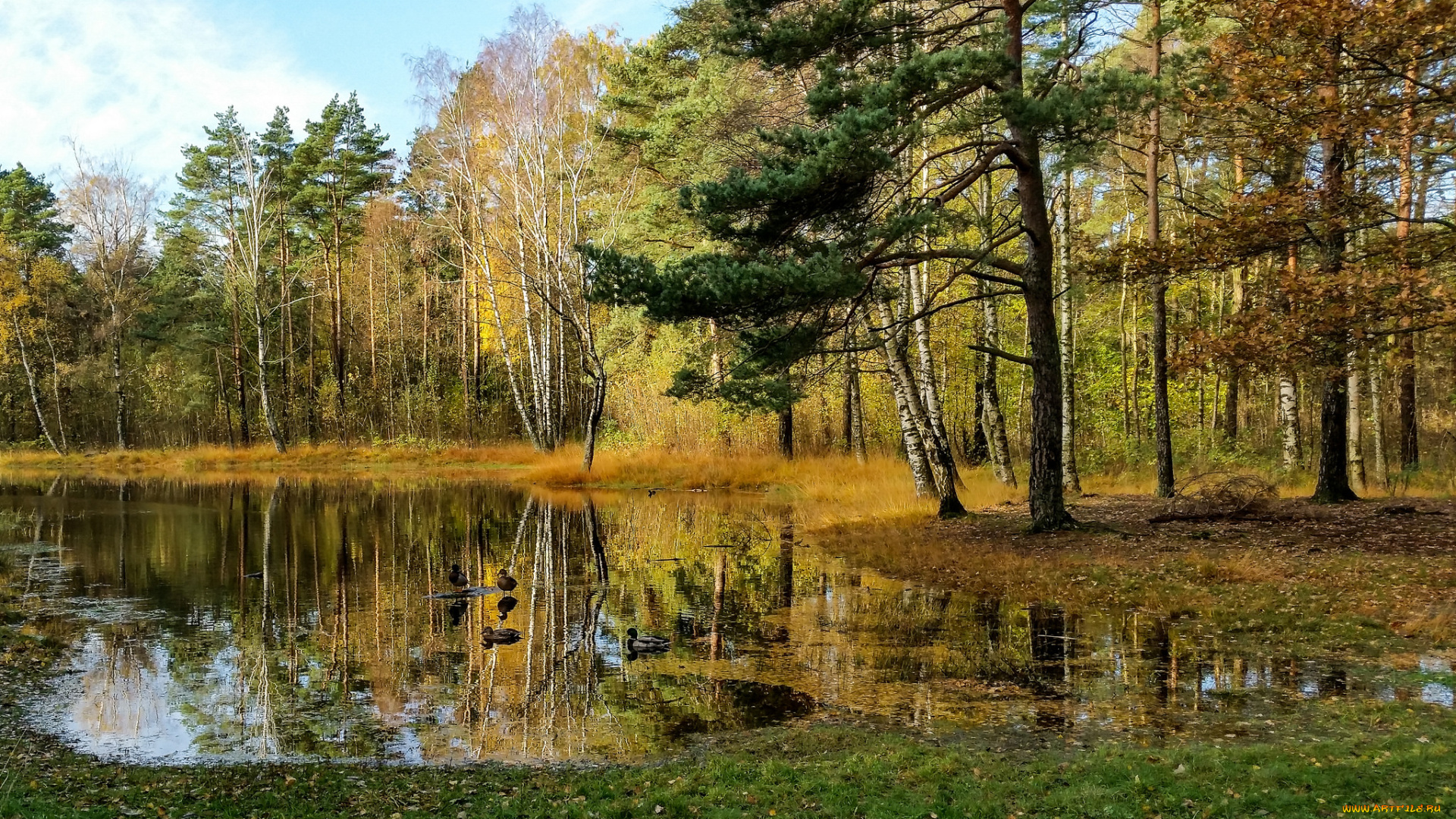 природа, реки, озера, простор