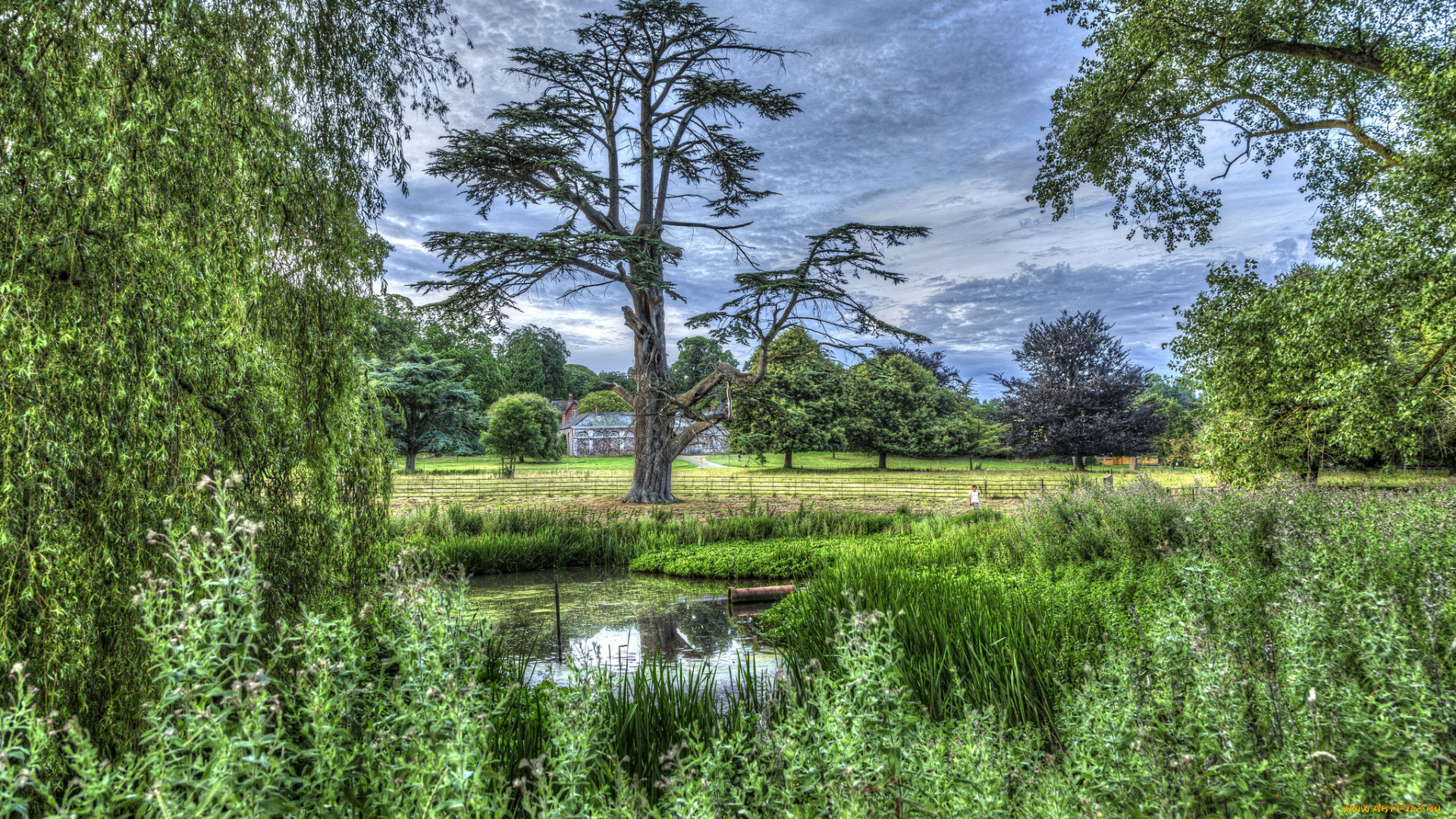 природа, реки, озера, простор